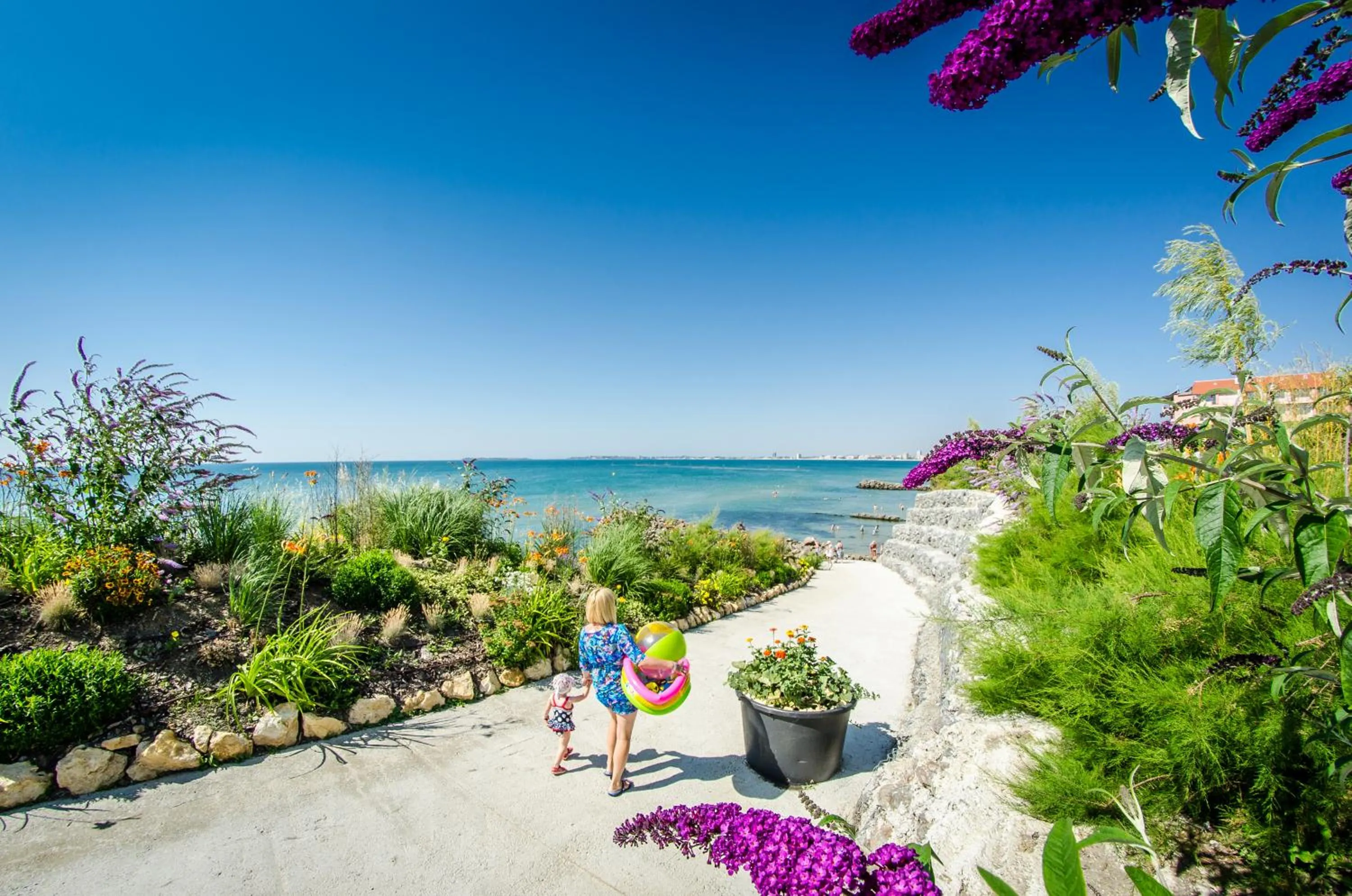 Area and facilities in Premier Fort Cuisine - Full Board