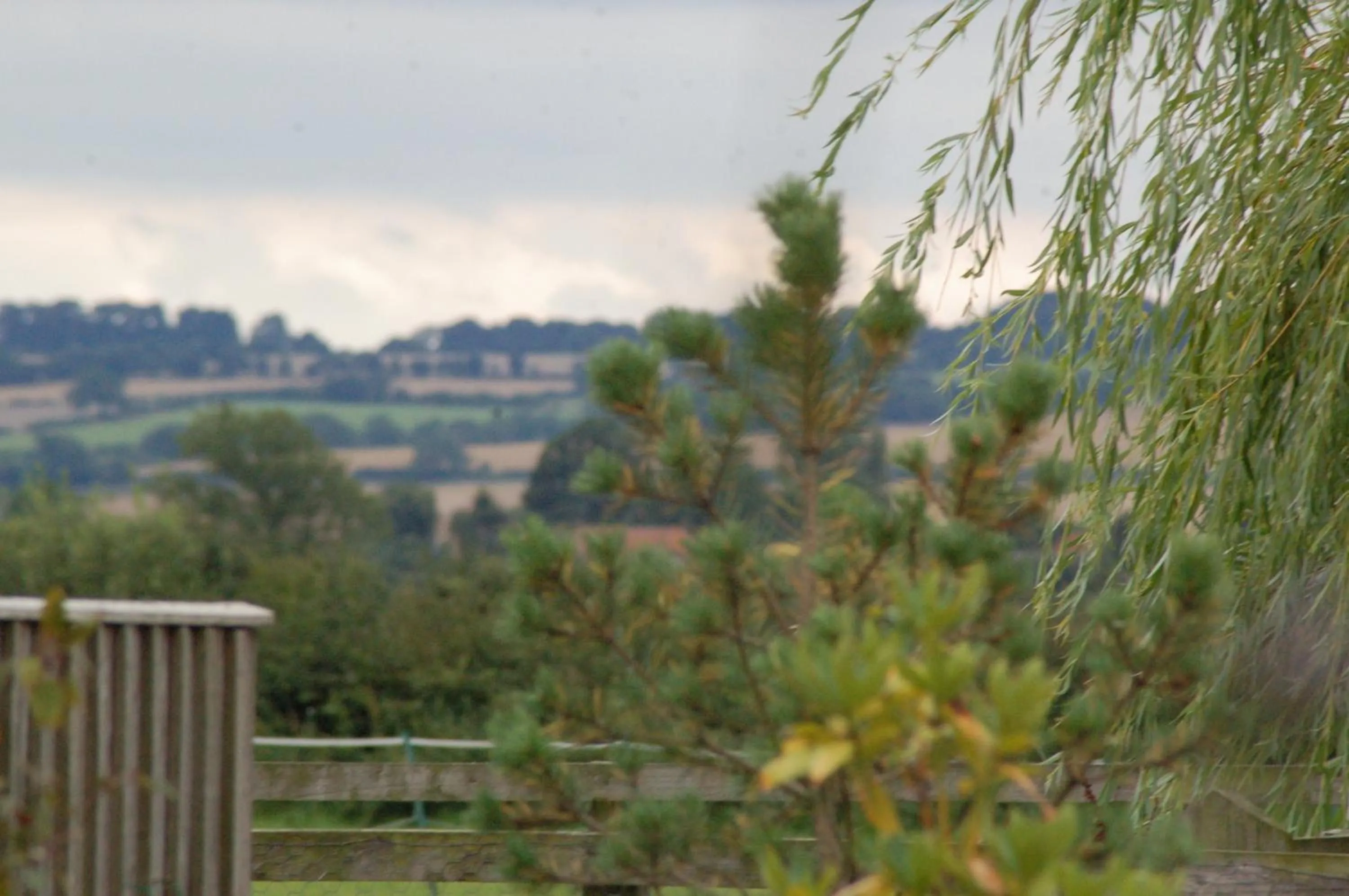 View (from property/room) in The Old Cart House