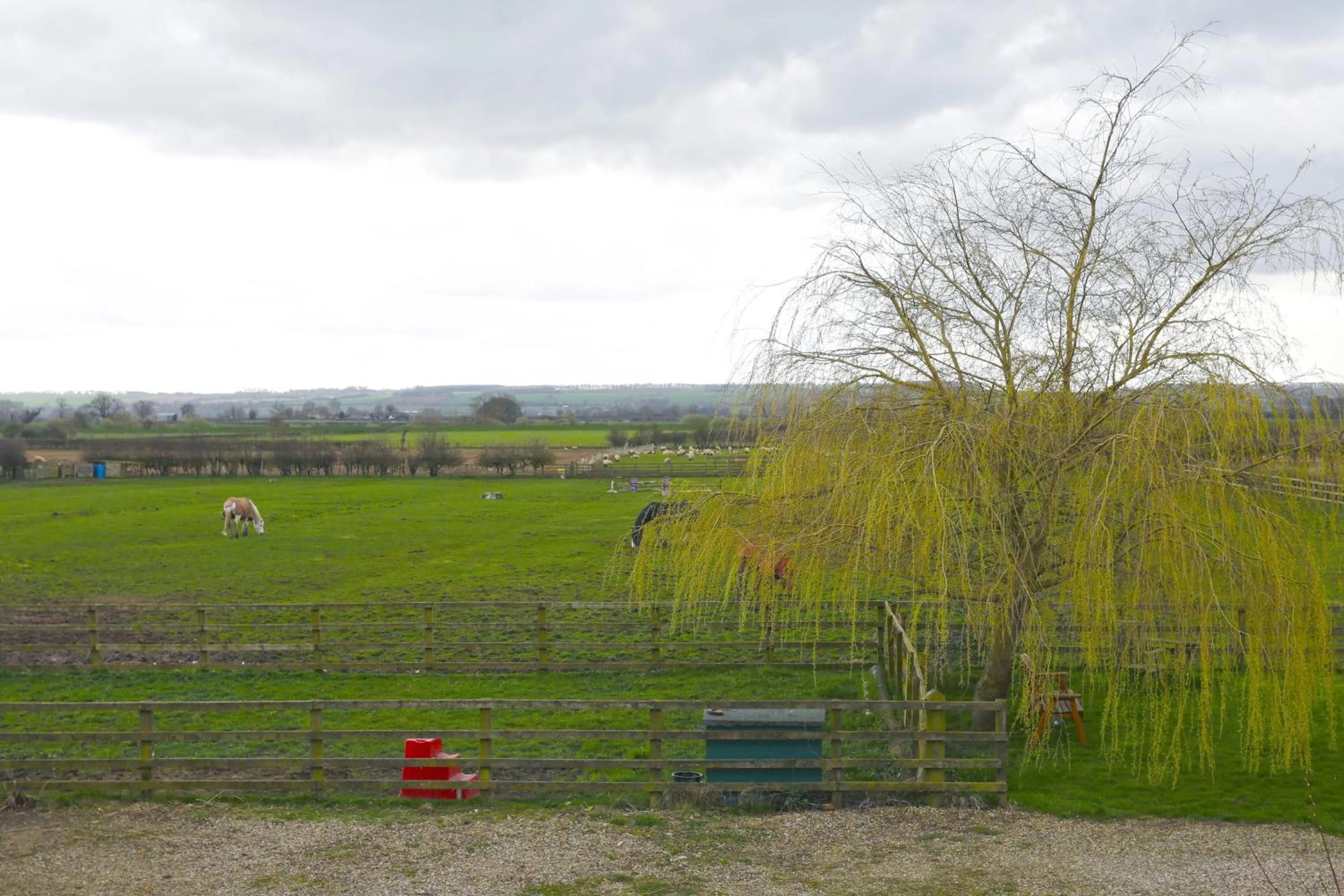 Garden view in The Old Cart House
