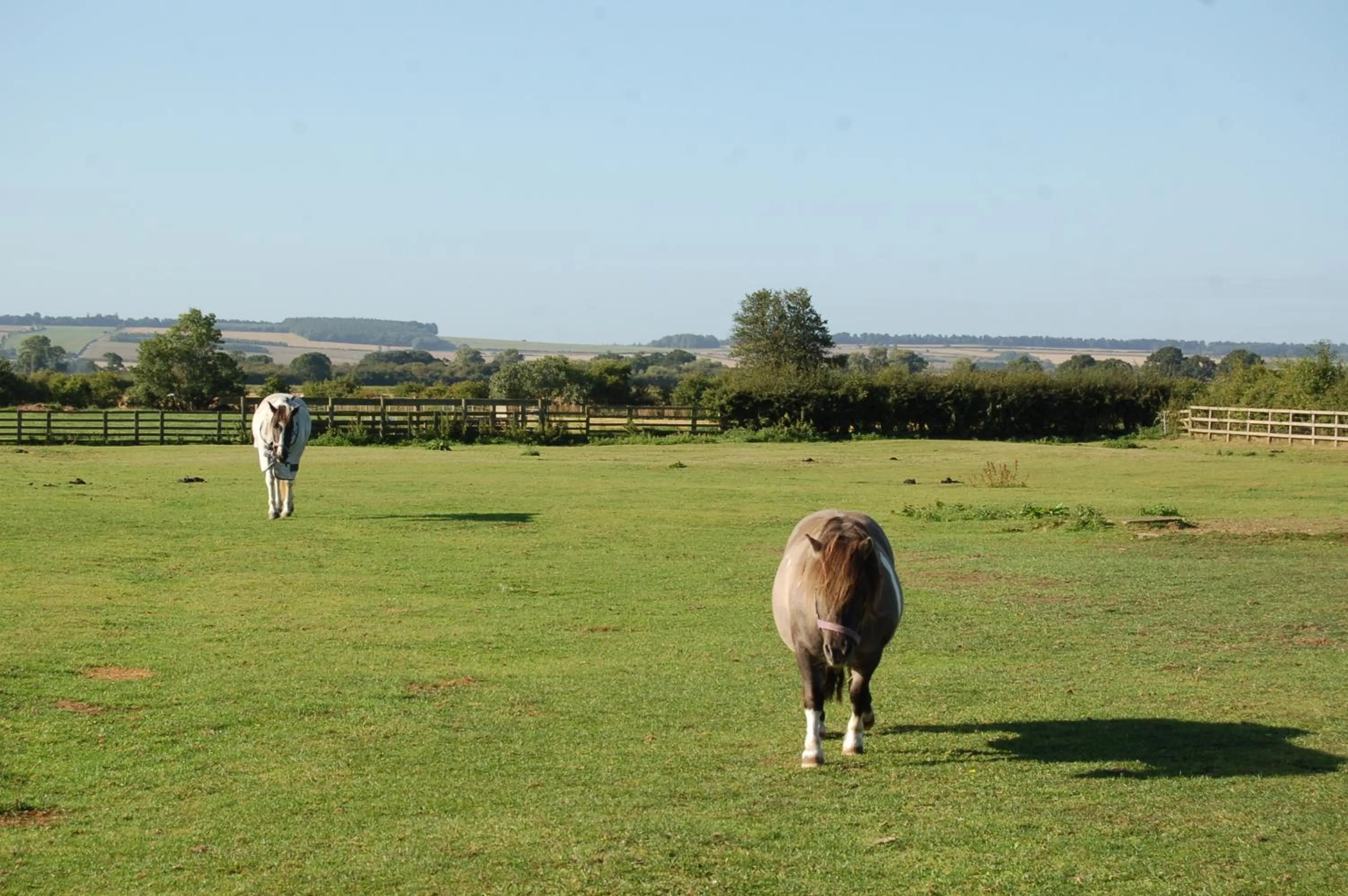 On site in The Old Cart House