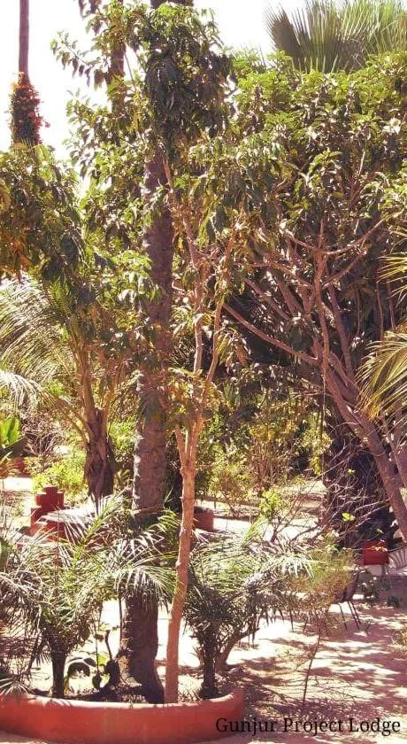 The Gunjur Project Lodge