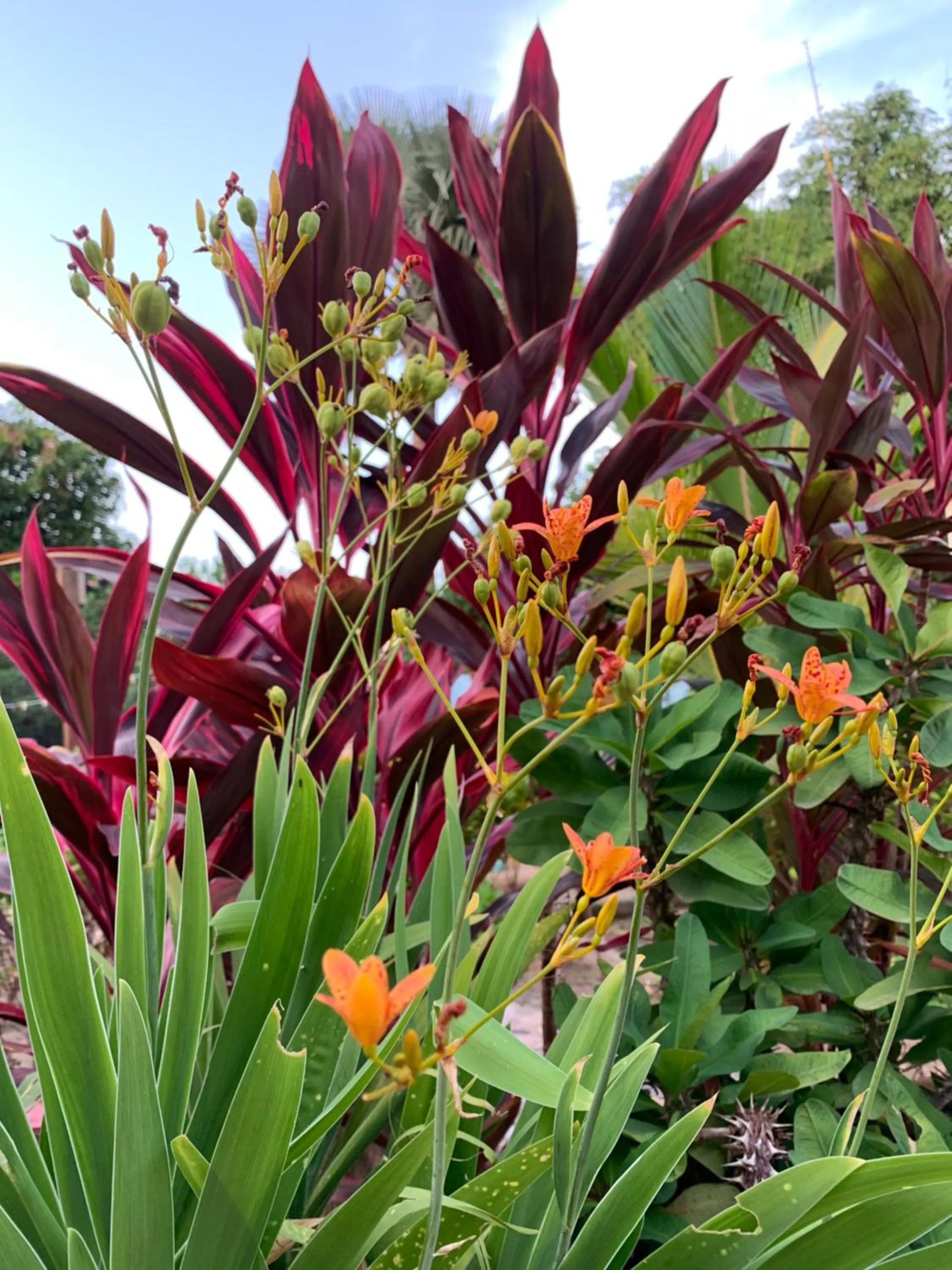 The Gunjur Project Lodge