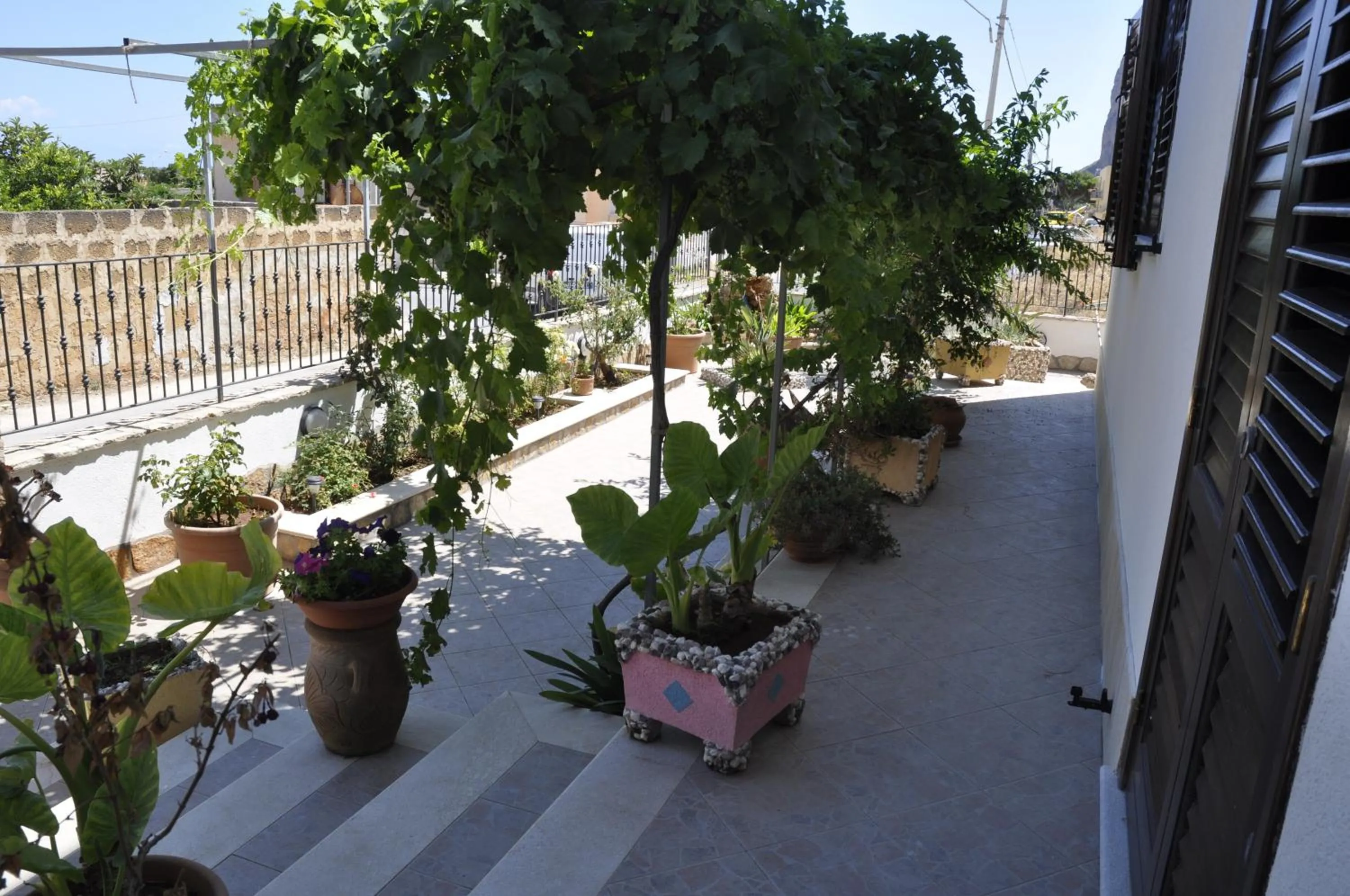 Garden view in El Nur Bed & Breakfast