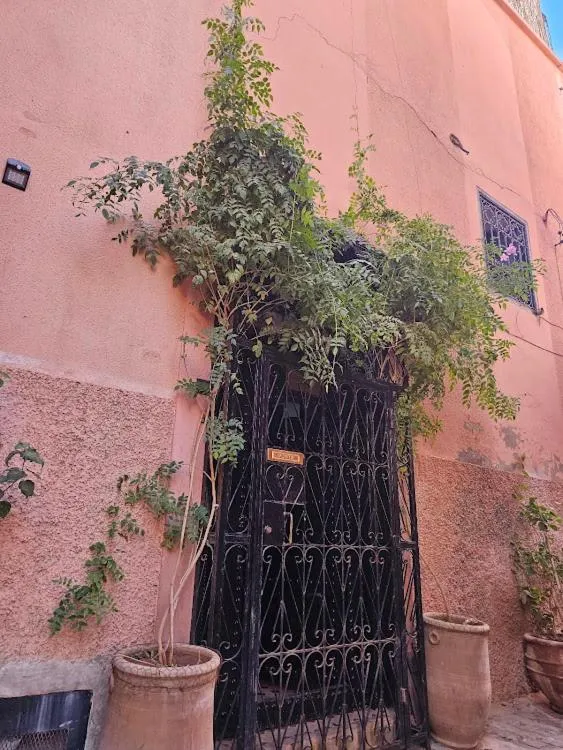Property building in Riad dar serenity