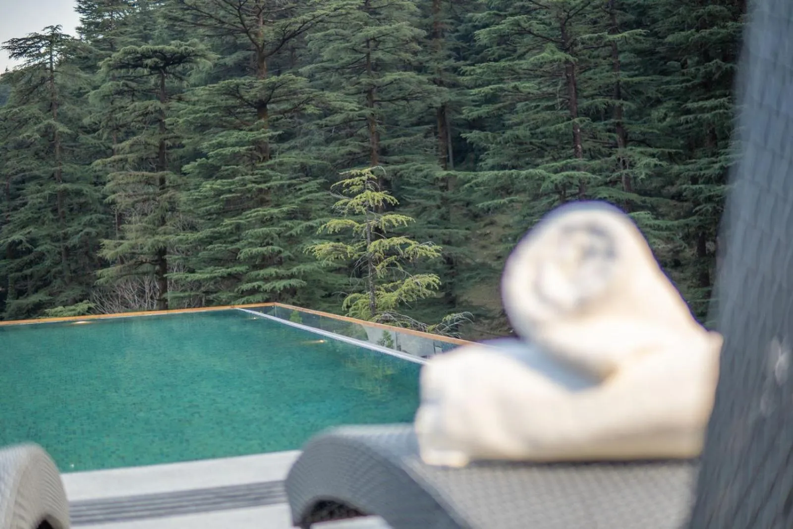 Swimming pool in Mastiff Select Mandavya Dharamkot, McLeodganj