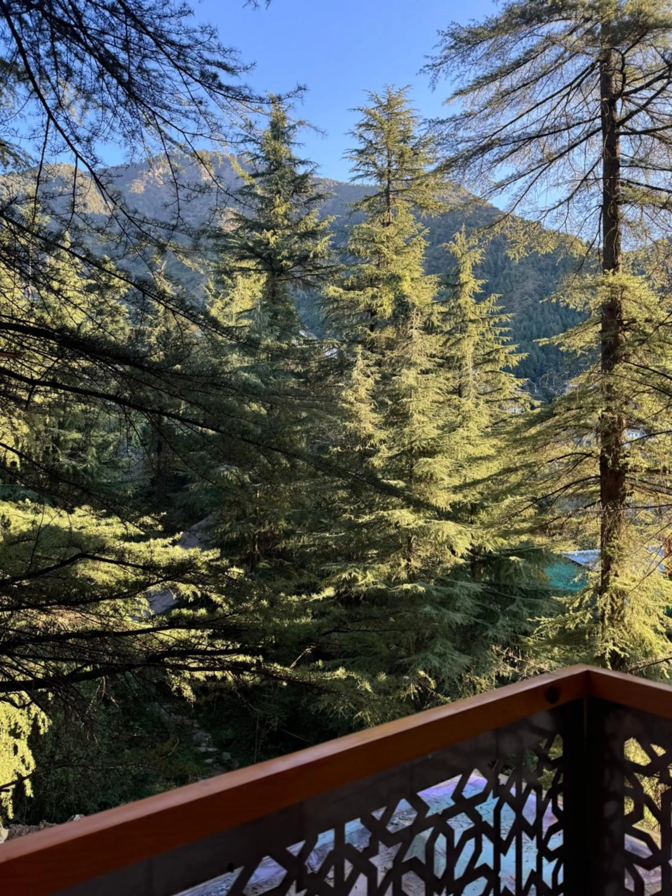 Balcony/Terrace in Mastiff Select Mandavya Dharamkot, McLeodganj