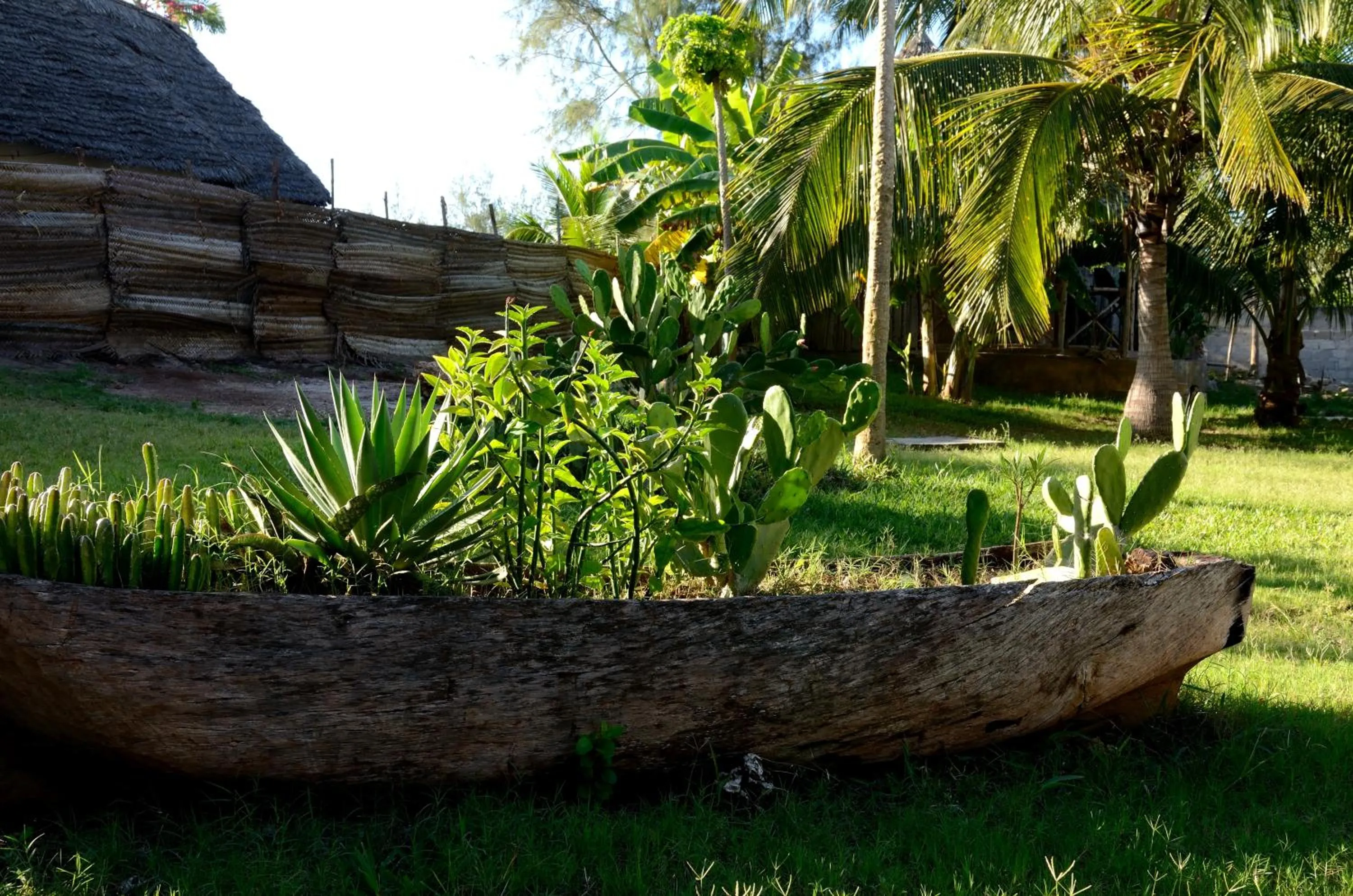 Garden in Kaure Sand Beach Lodge