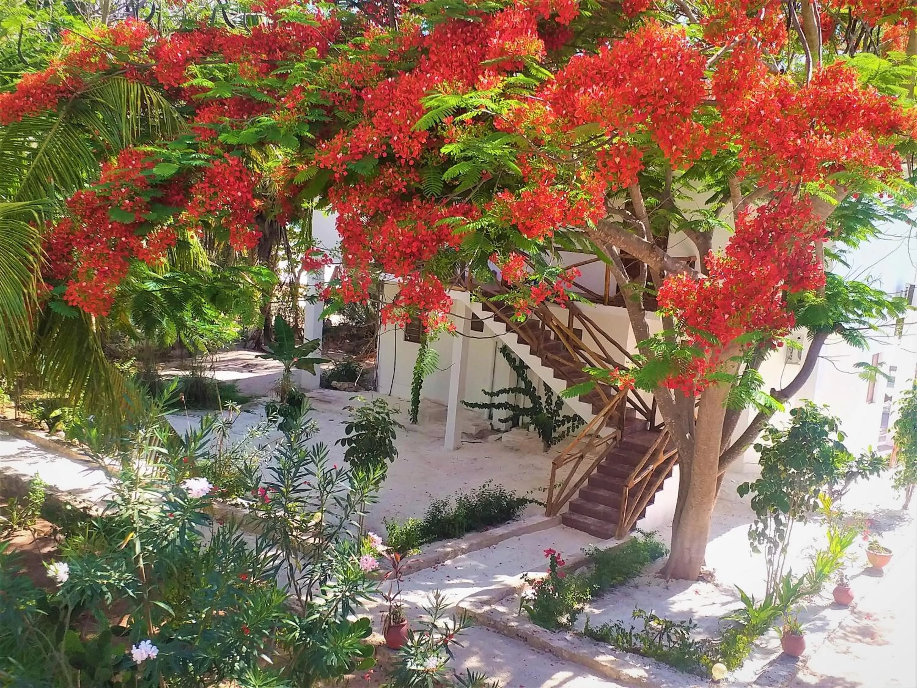 Garden in Kaure Sand Beach Lodge