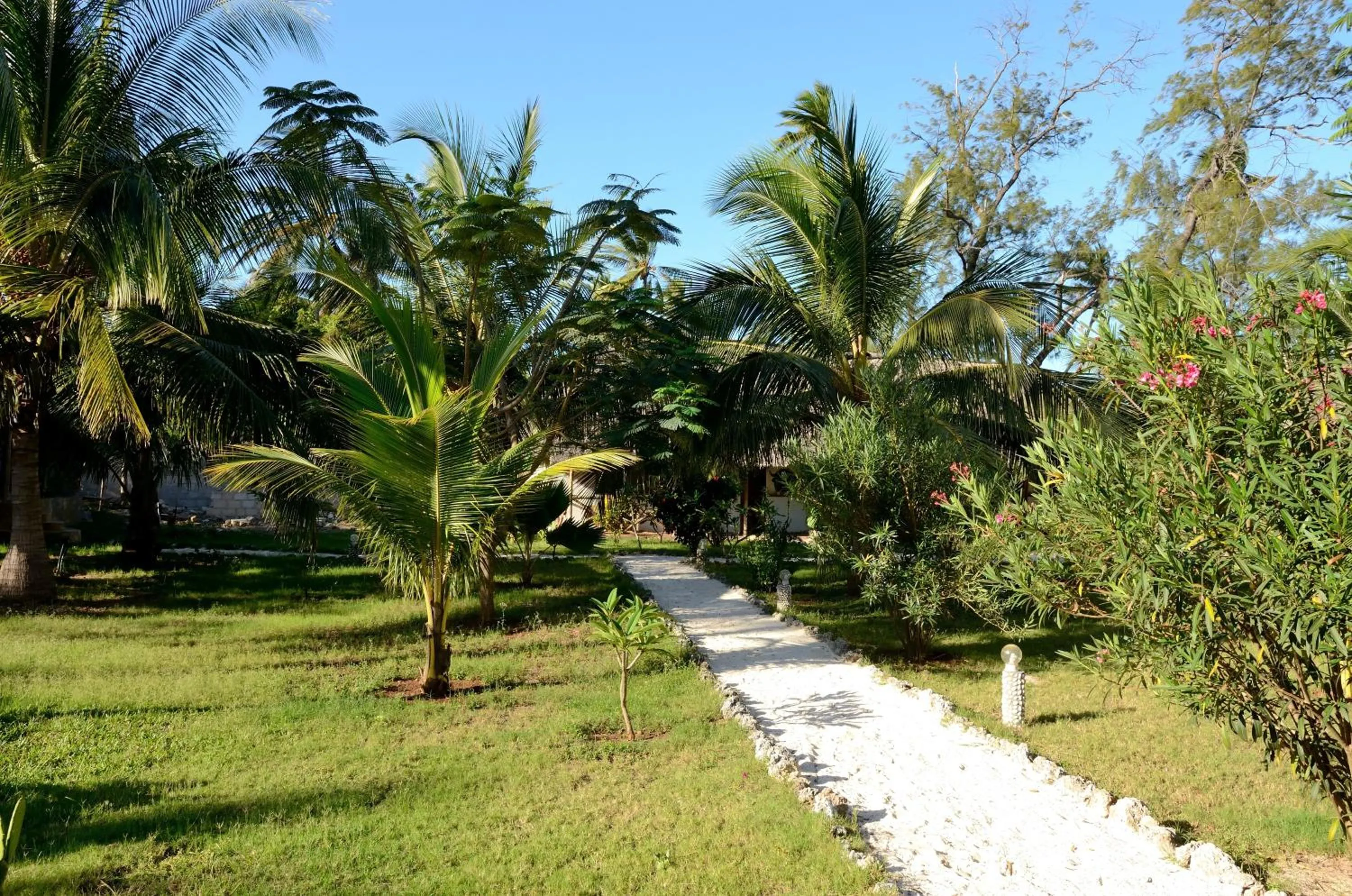 Natural landscape in Kaure Sand Beach Lodge