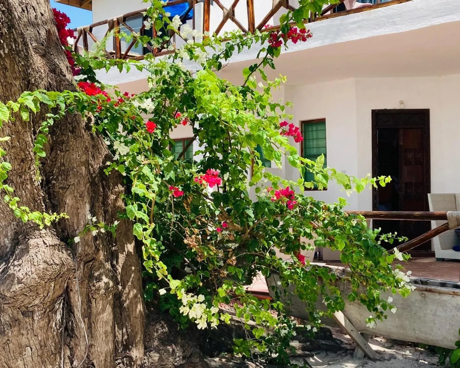 Garden in Kaure Sand Beach Lodge