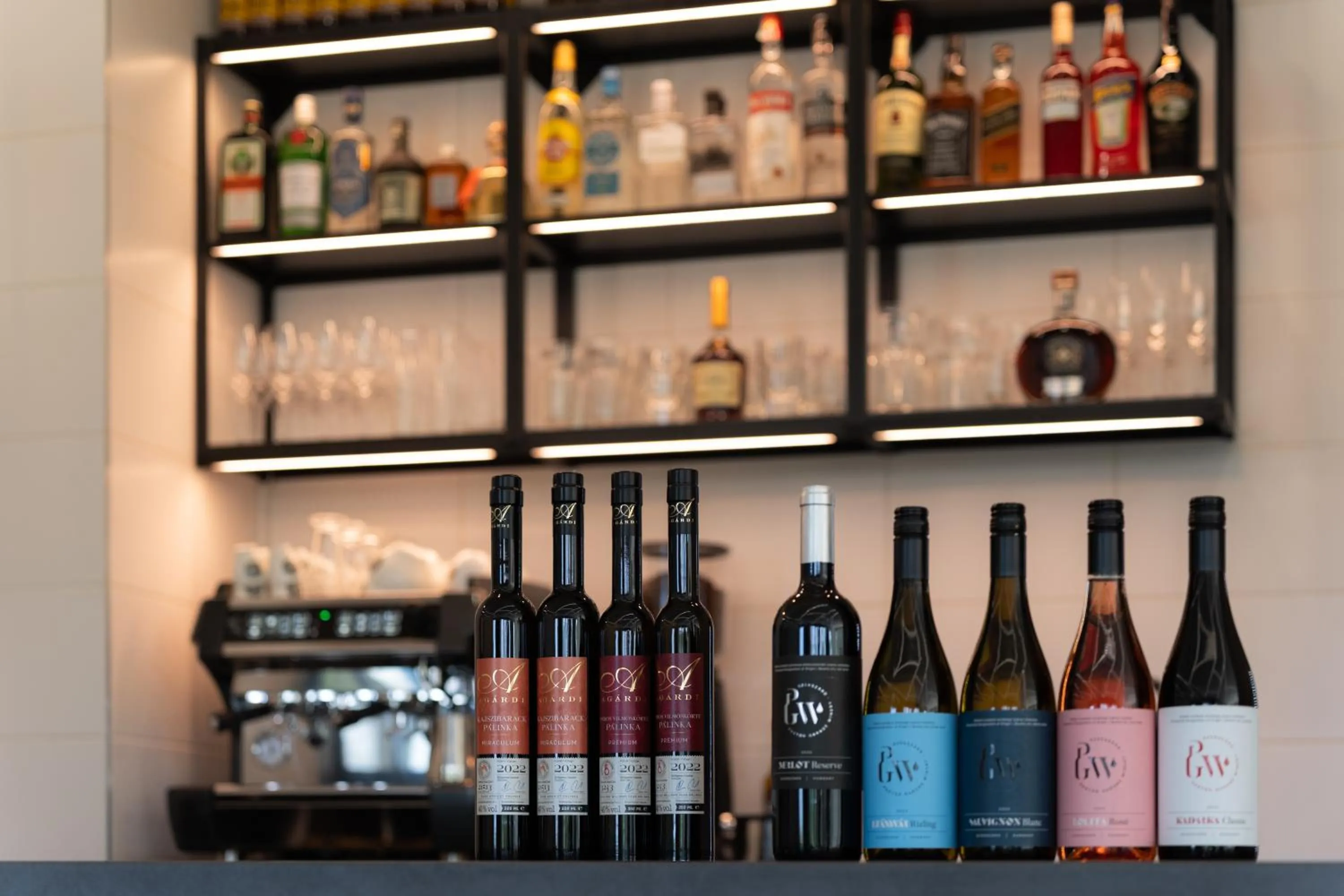 Lounge or bar in Noa Panzio