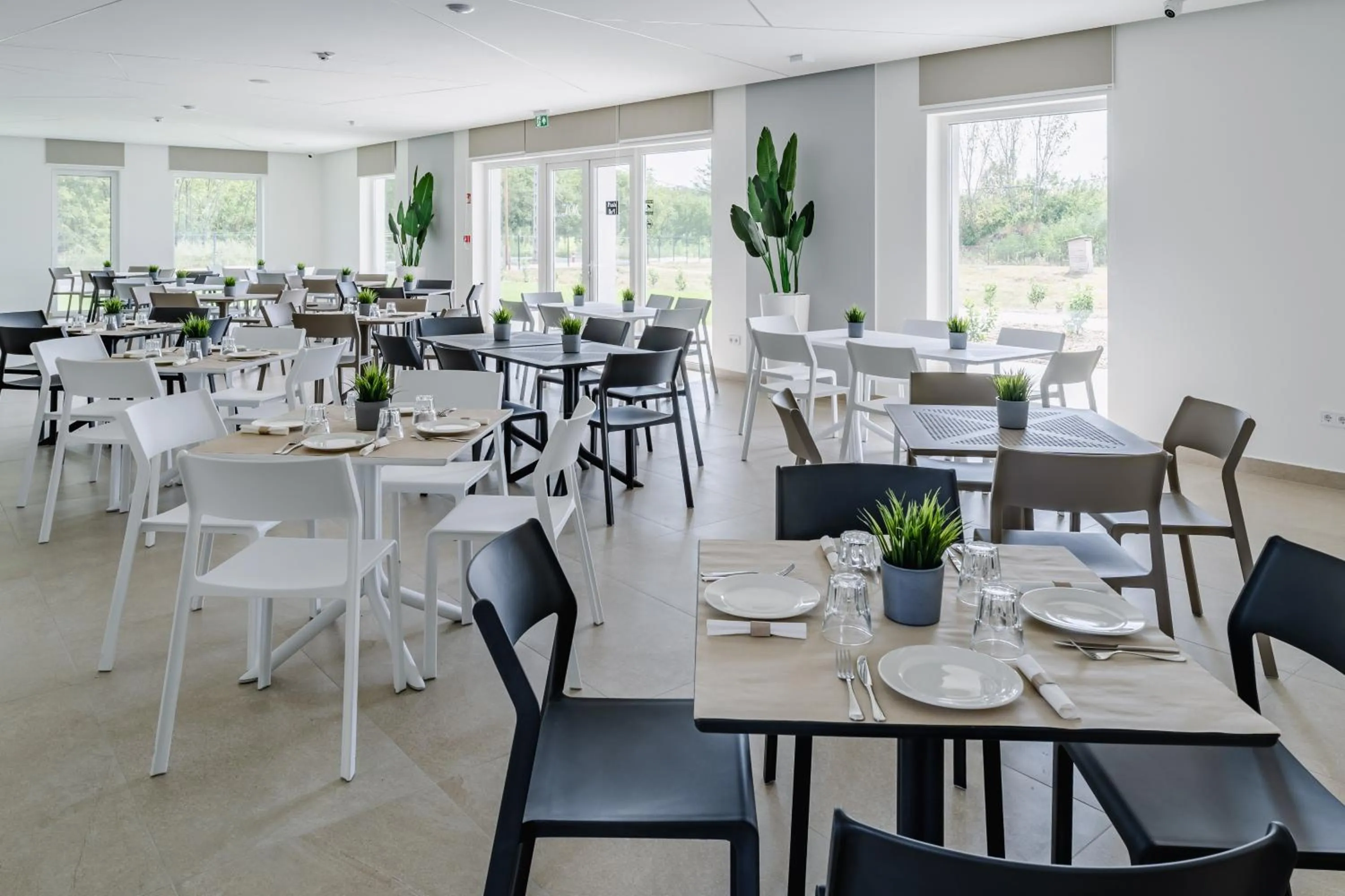 Breakfast in Noa Panzio