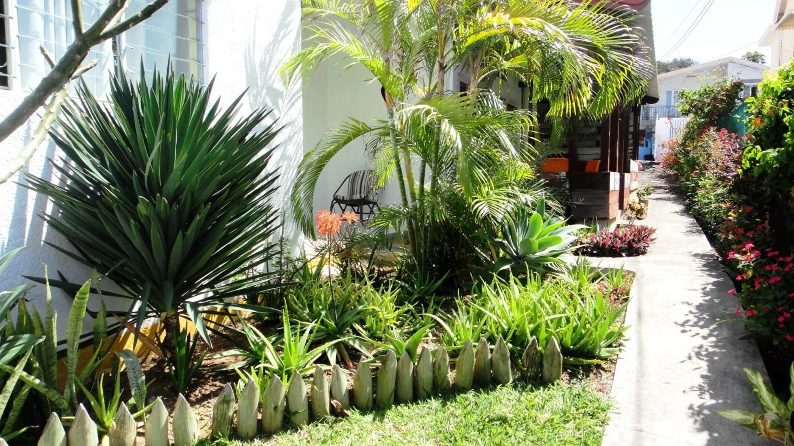 Day in Colibri Beach Villas