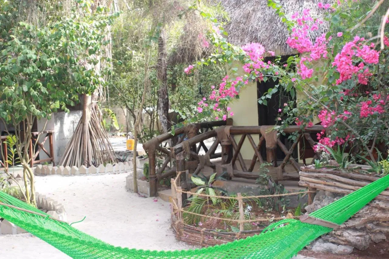 Garden in Casa Umoja