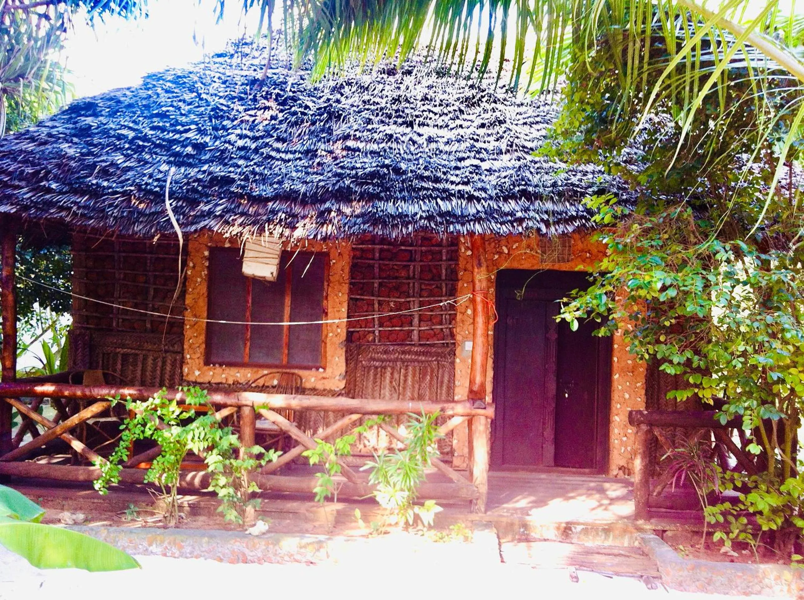 Property building in Casa Umoja