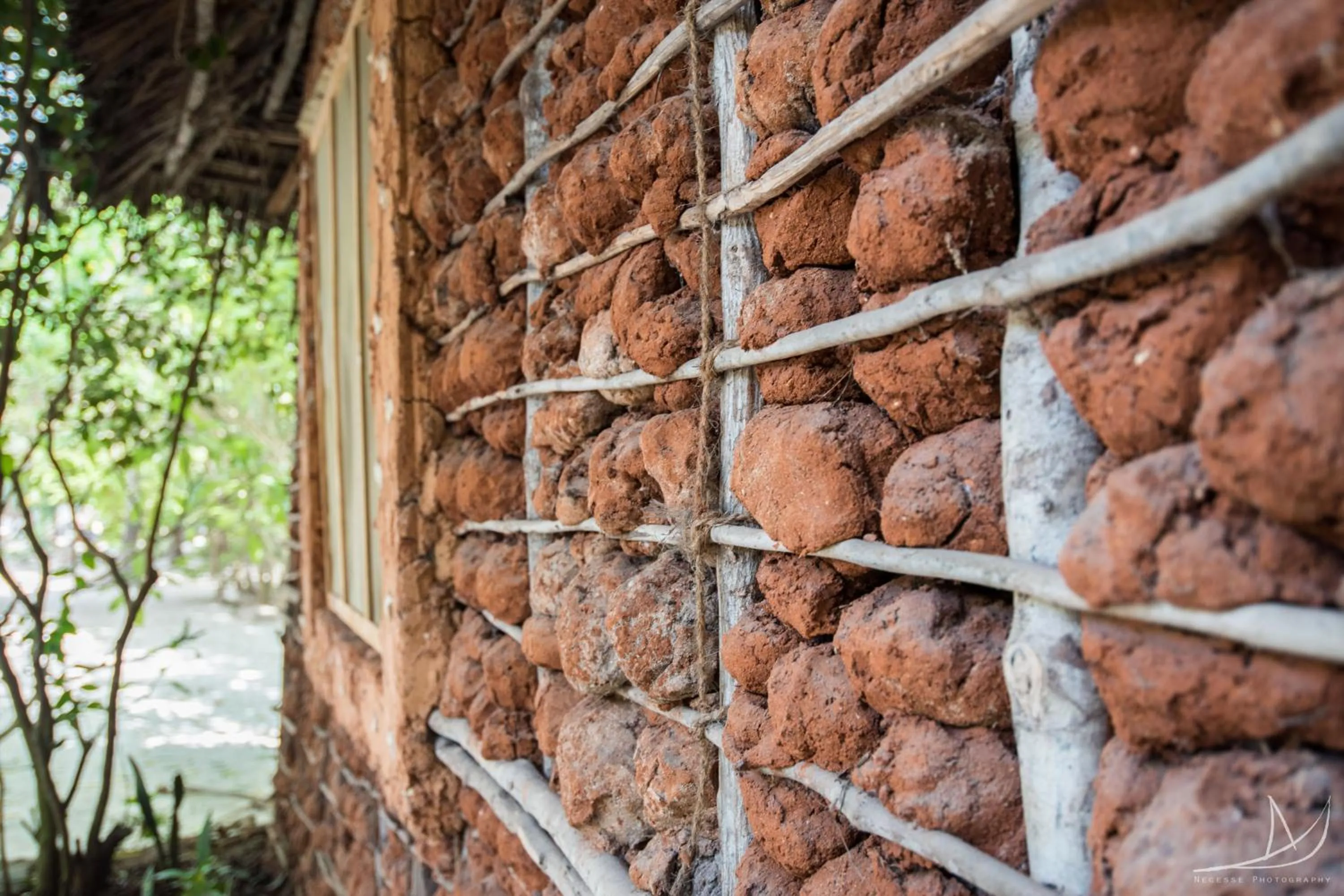 Facade/entrance in Casa Umoja