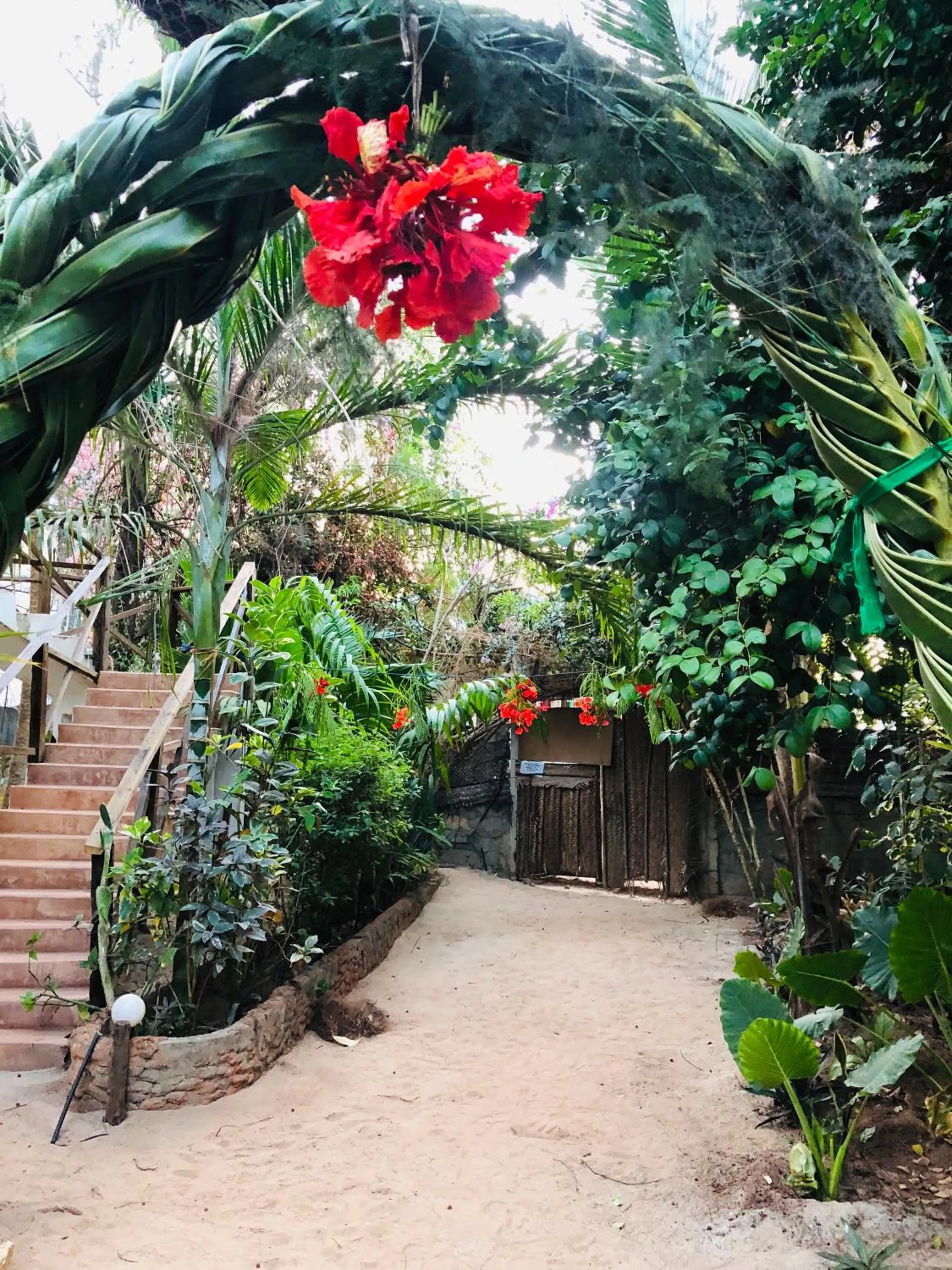 Garden in Casa Umoja