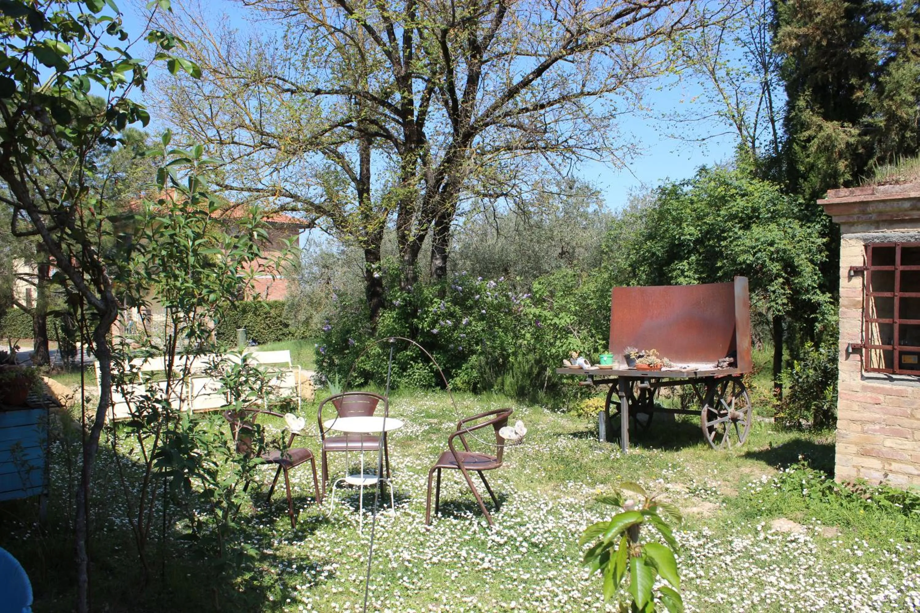 BBQ facilities in Bio Agriturismo Podere Pretoia