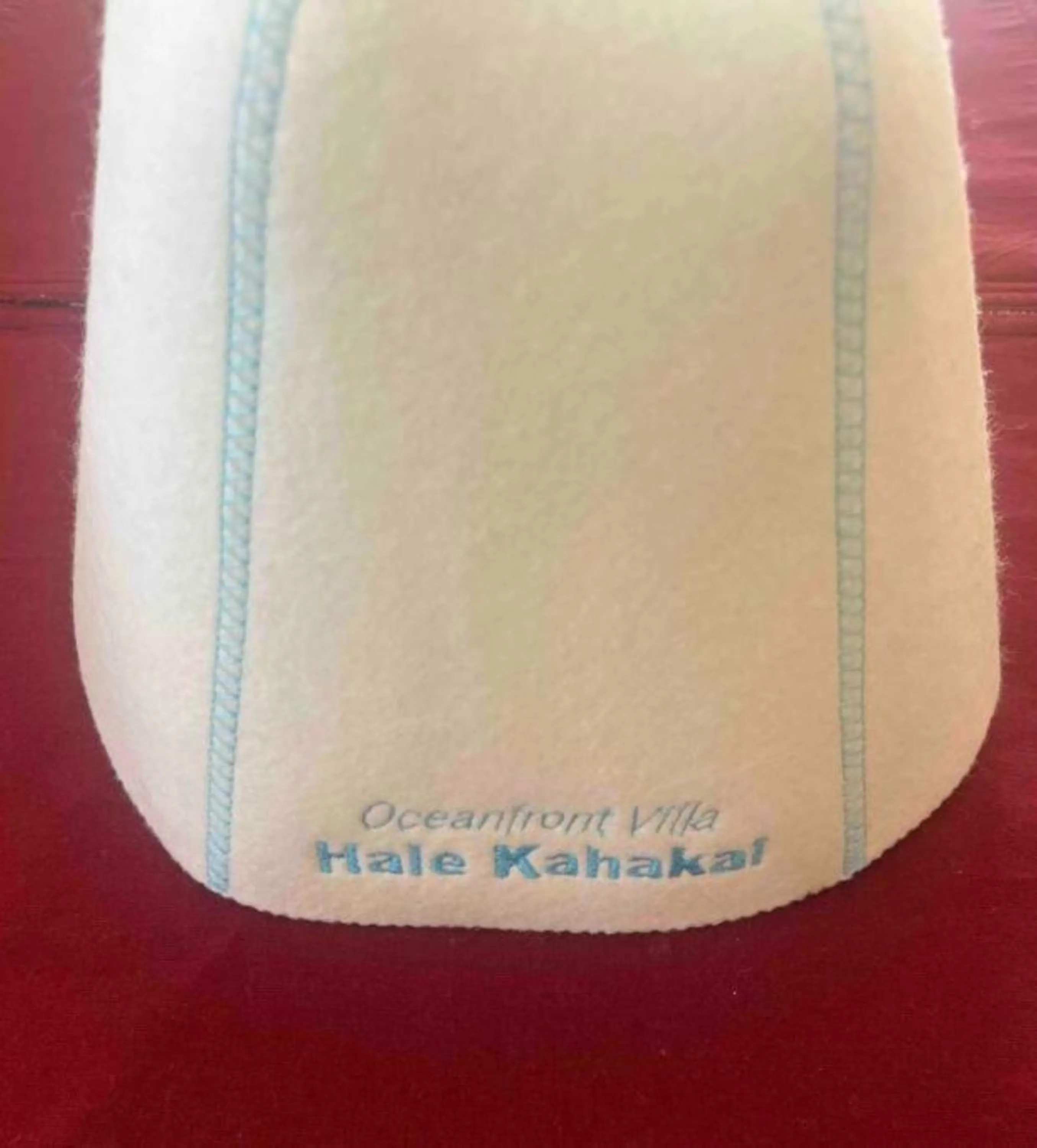 Spa and wellness centre/facilities in Oceanfront Villa Hale Kahakai プライベートサウナ