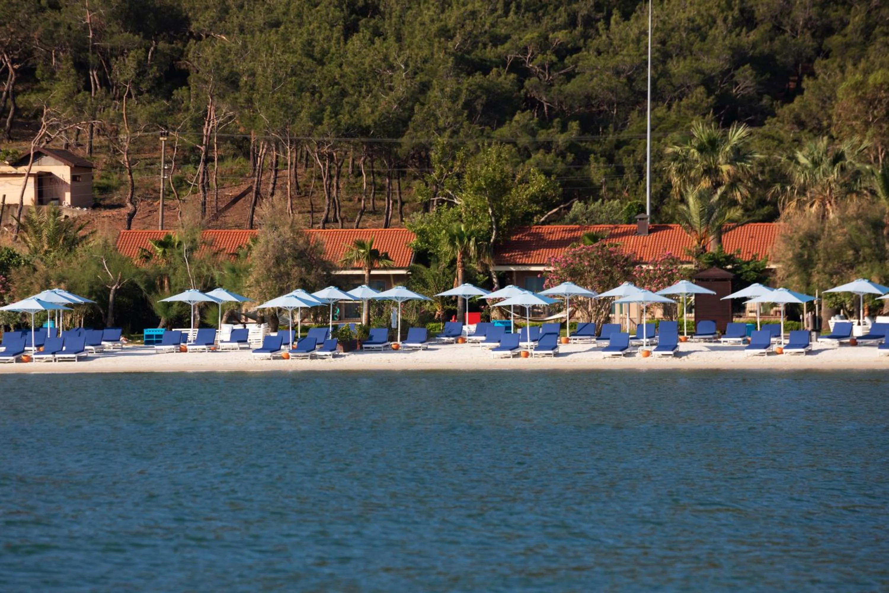 Beach in D - Resort Ayvalık