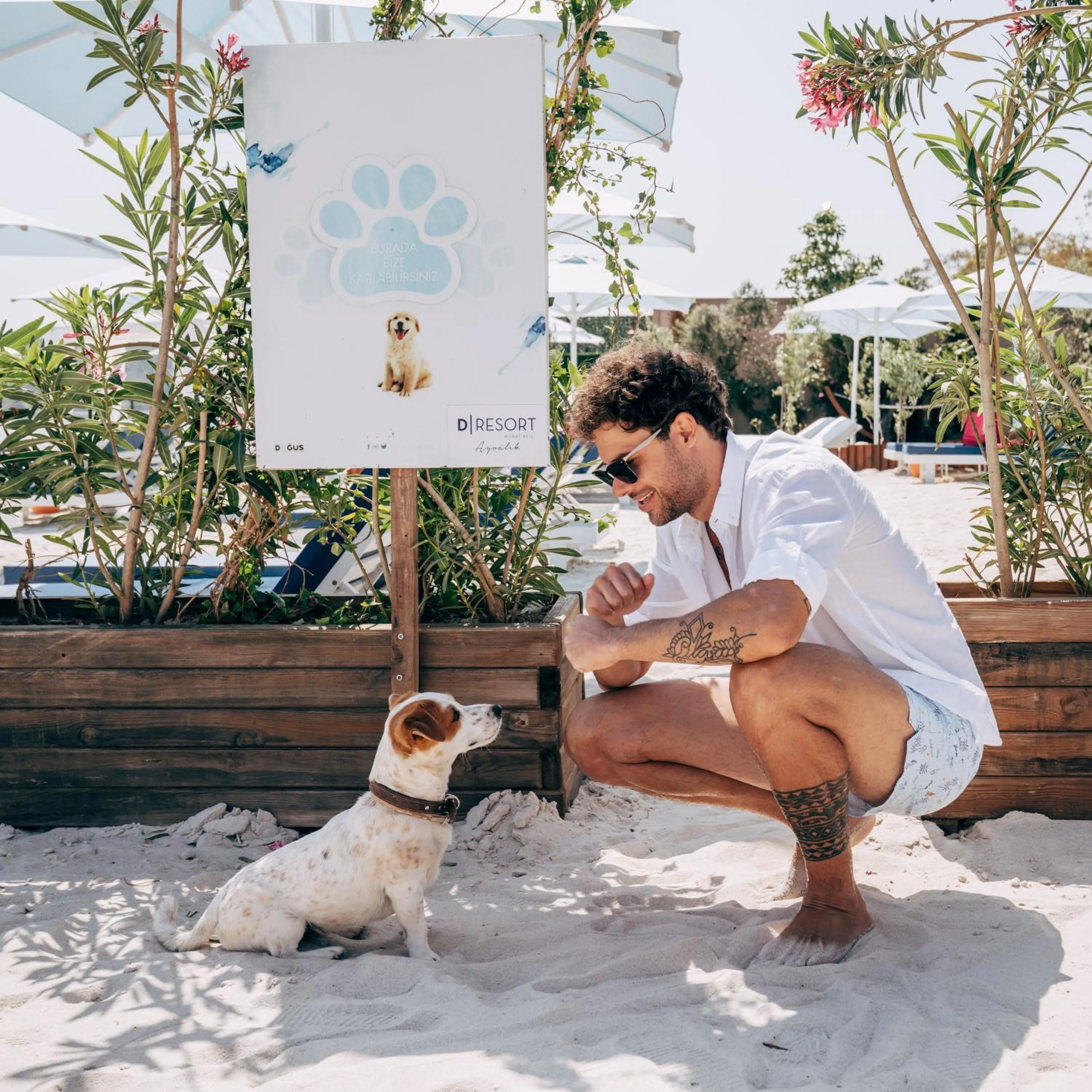 Animals in D - Resort Ayvalık