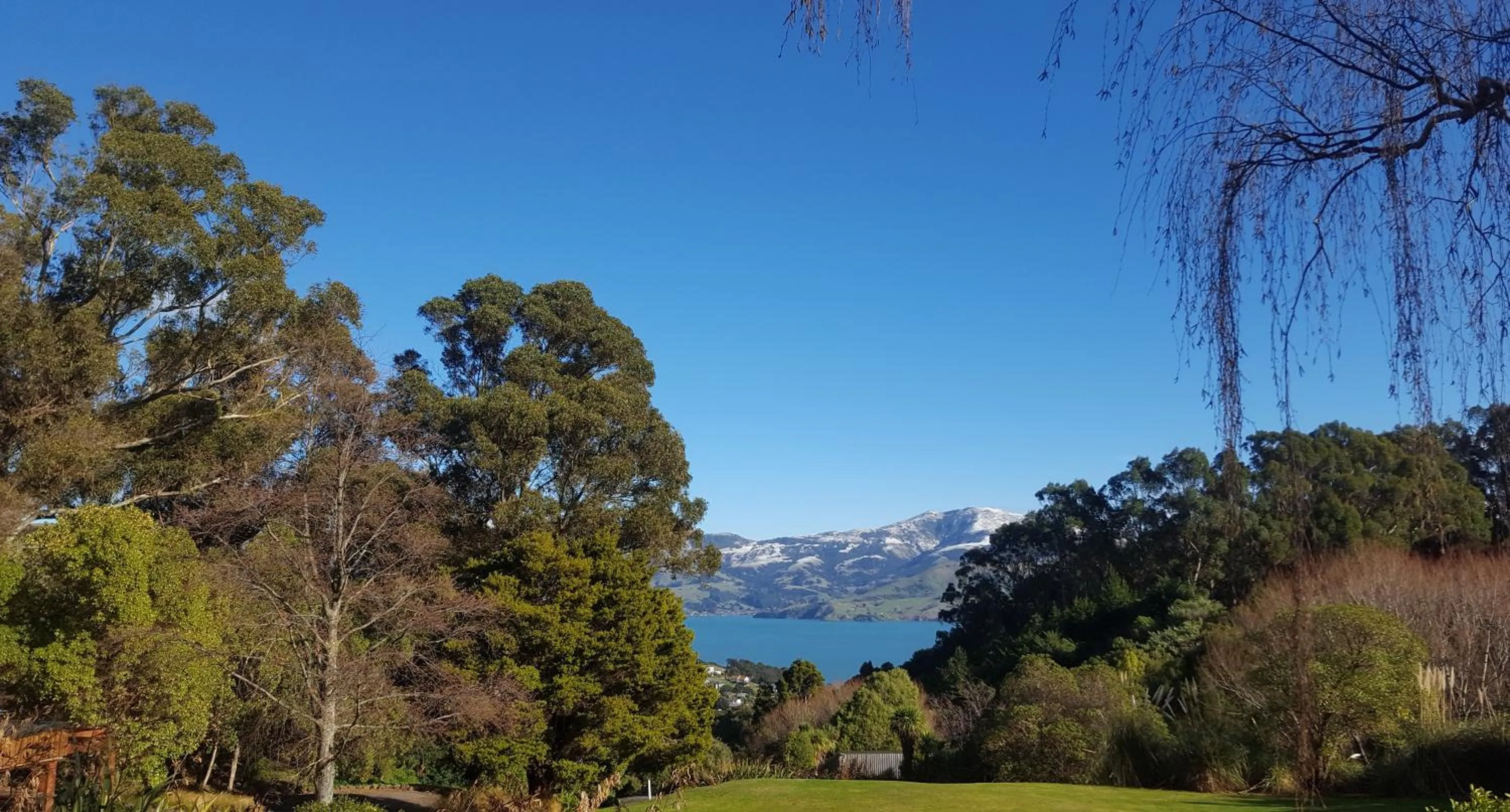 Natural landscape in Mt Vernon