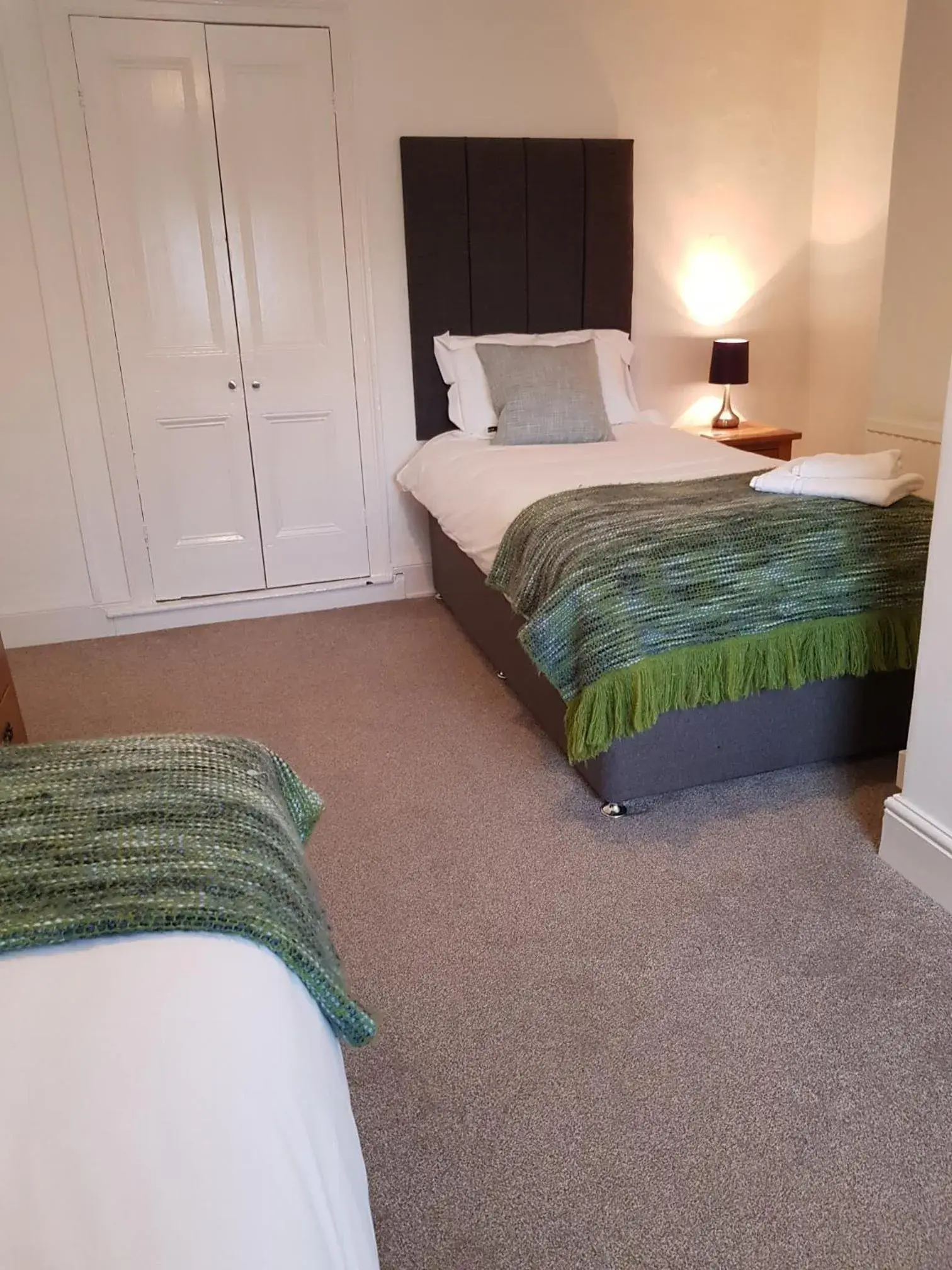 Basic Twin Room - single occupancy in Ty Helyg Guest House Basic Twin Room - single occupancy in Ty Helyg Guest House