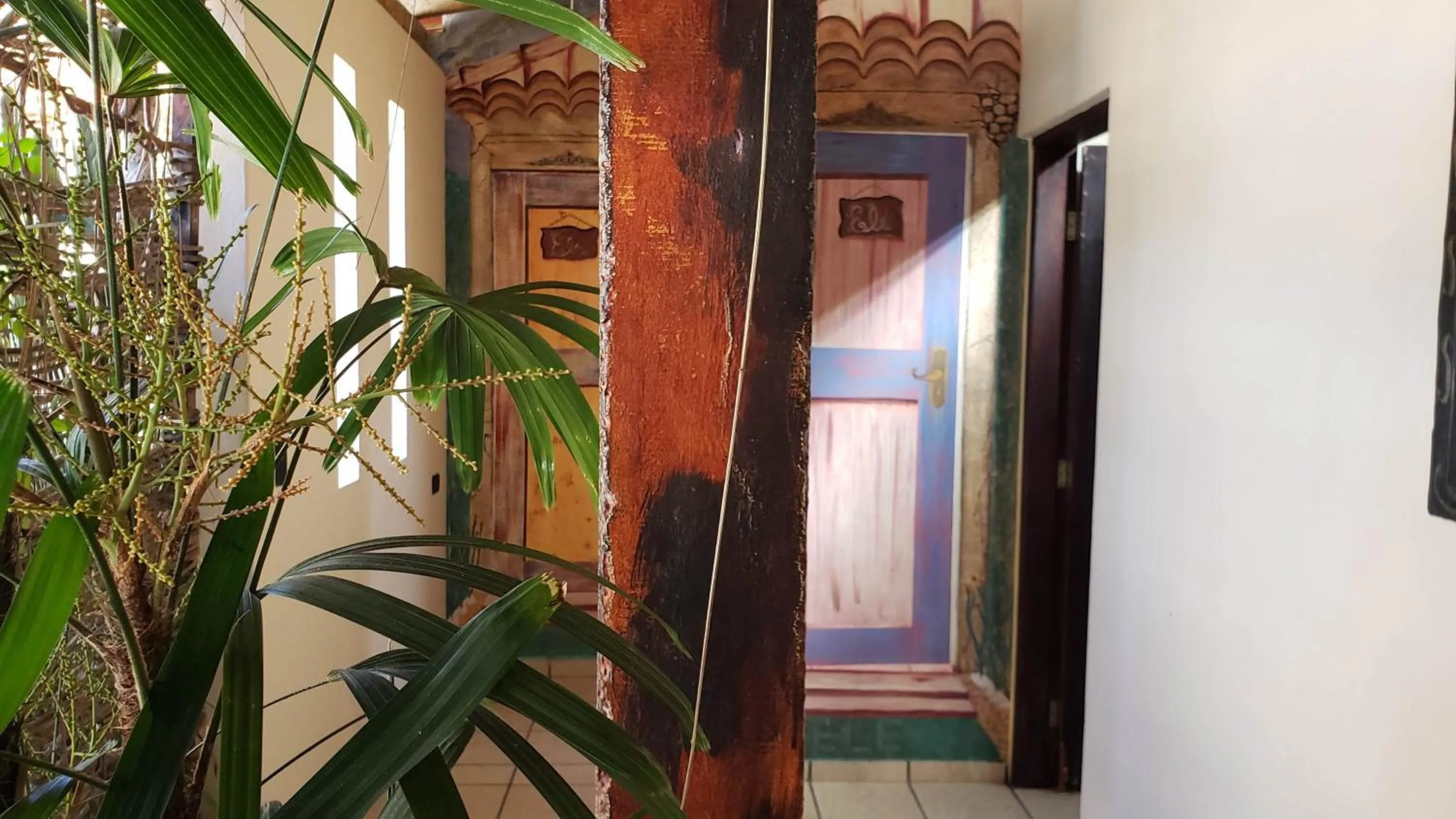 Day in Pousada Atelier Aly da Costa