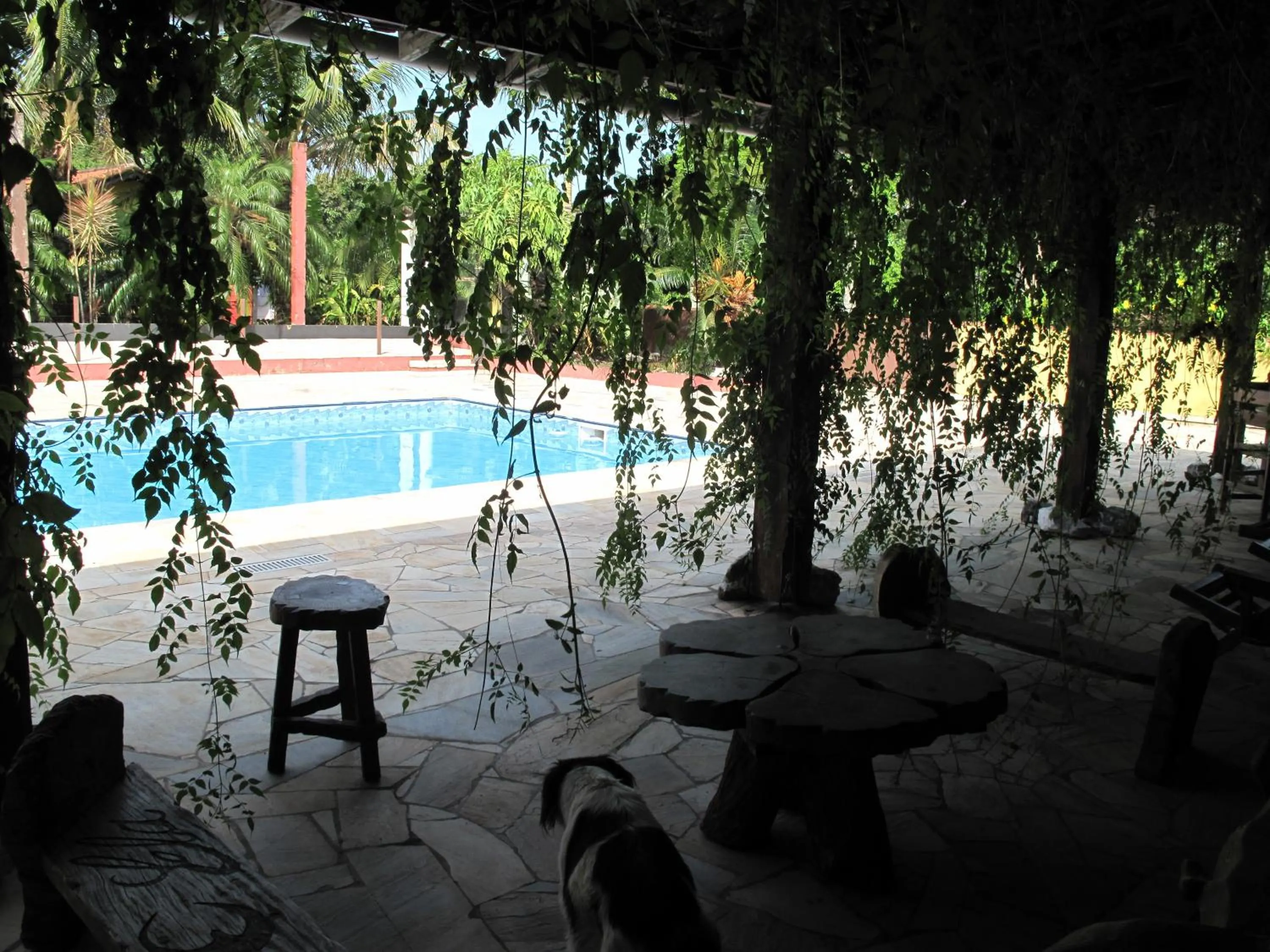 Patio in Pousada Atelier Aly da Costa