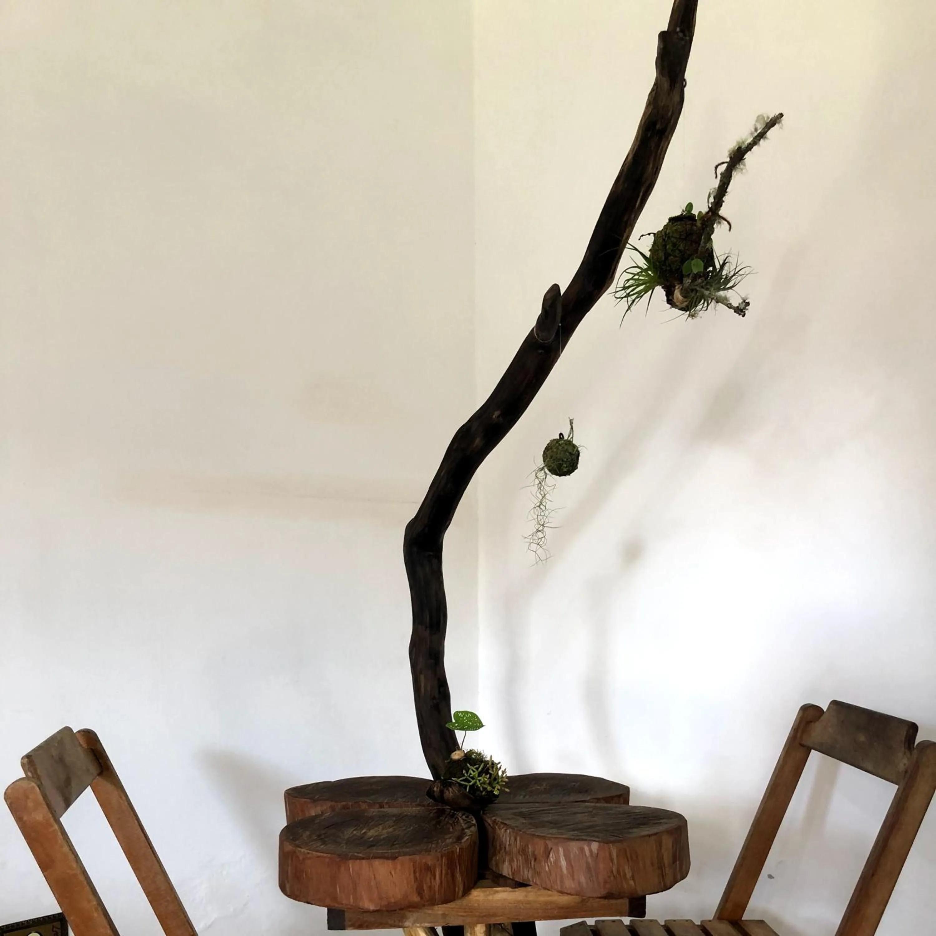 Decorative detail in Pousada Atelier Aly da Costa