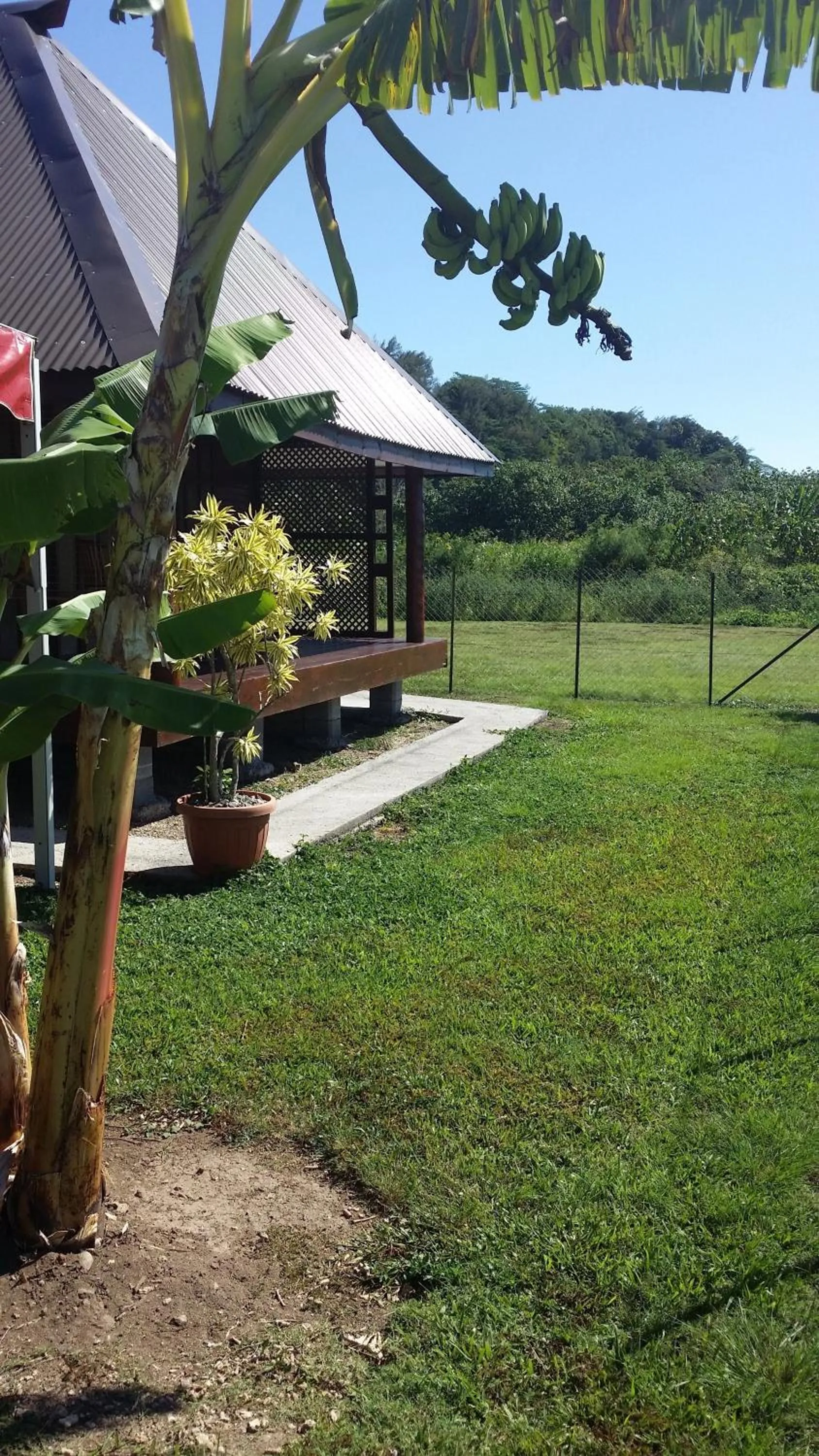 Garden in Raiatea Airport Bungalow