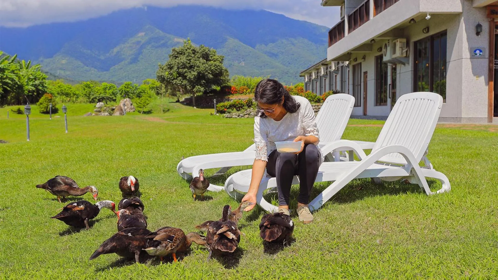 Animals in Summer Rocker Villa