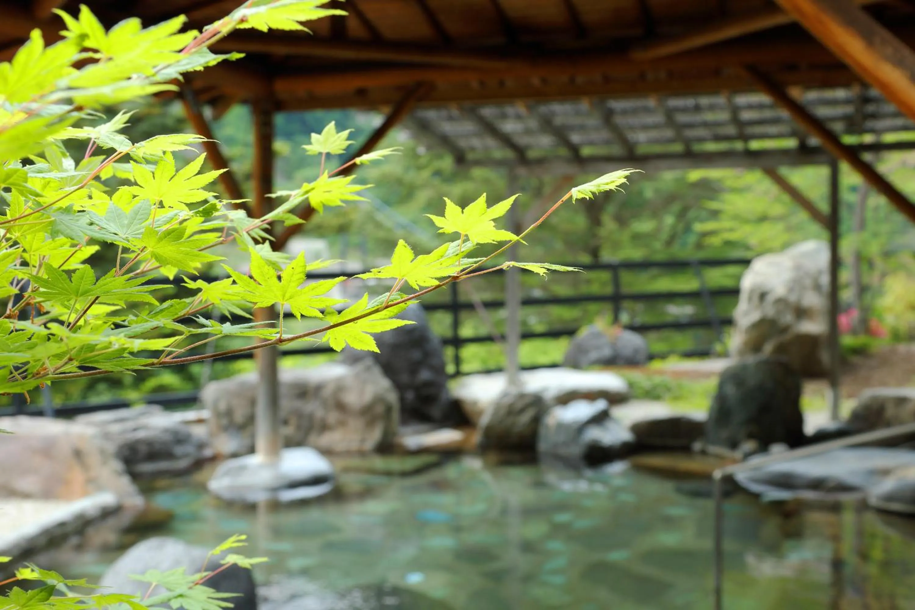 Hot Spring Bath in Hotel Sunshine Kinugawa