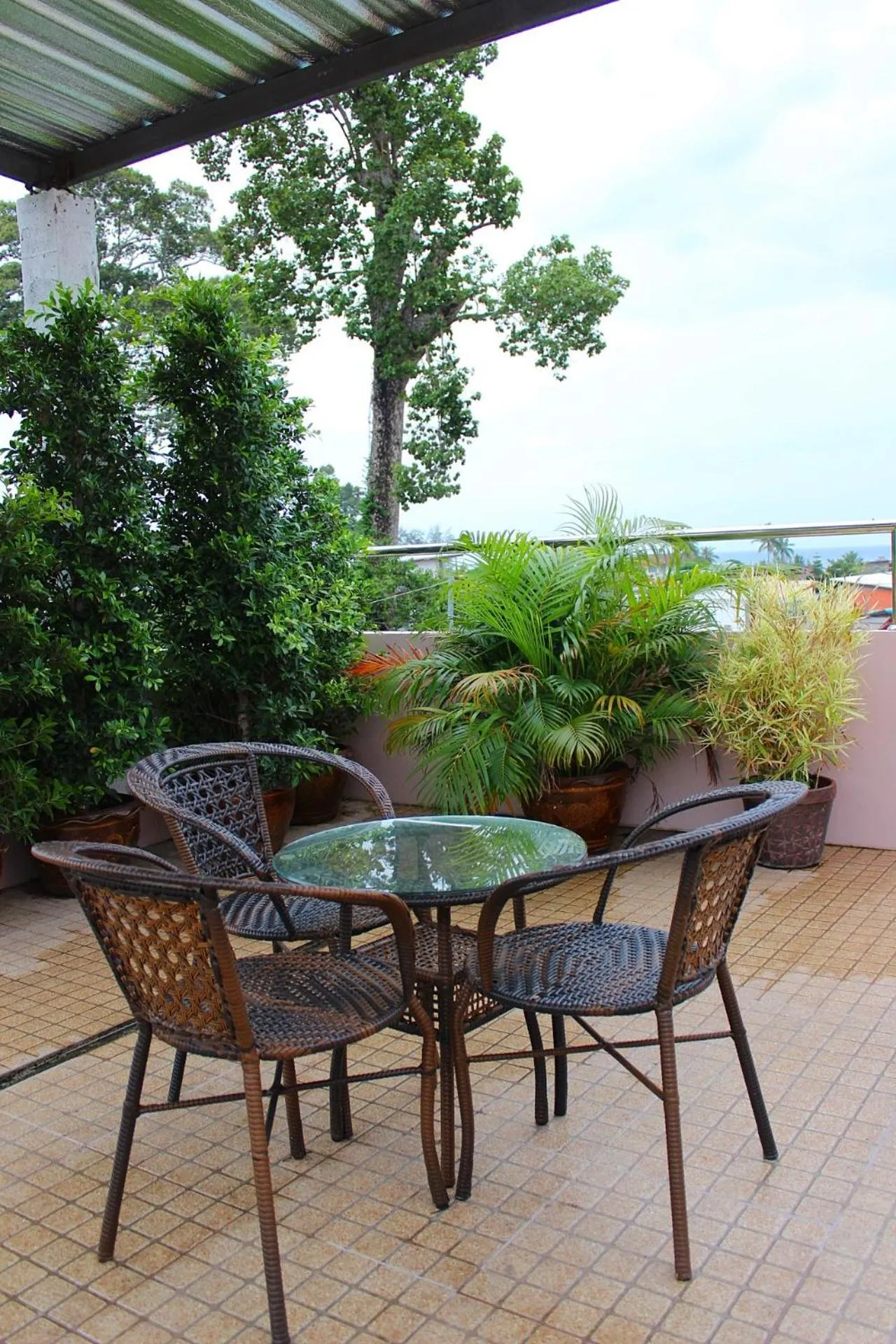 Garden view in Sairee Center Guest House