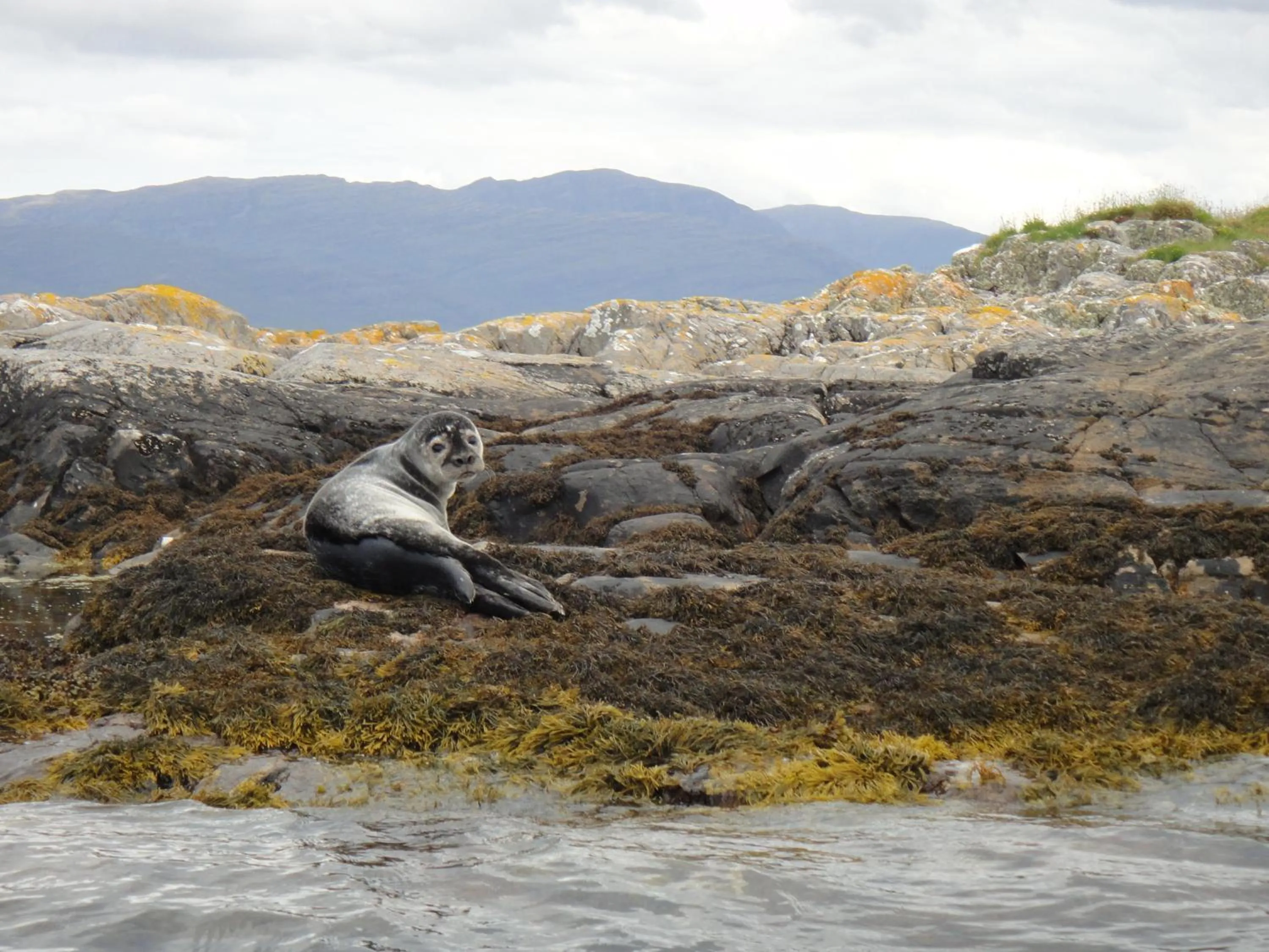 Day in Ratagan Youth Hostel
