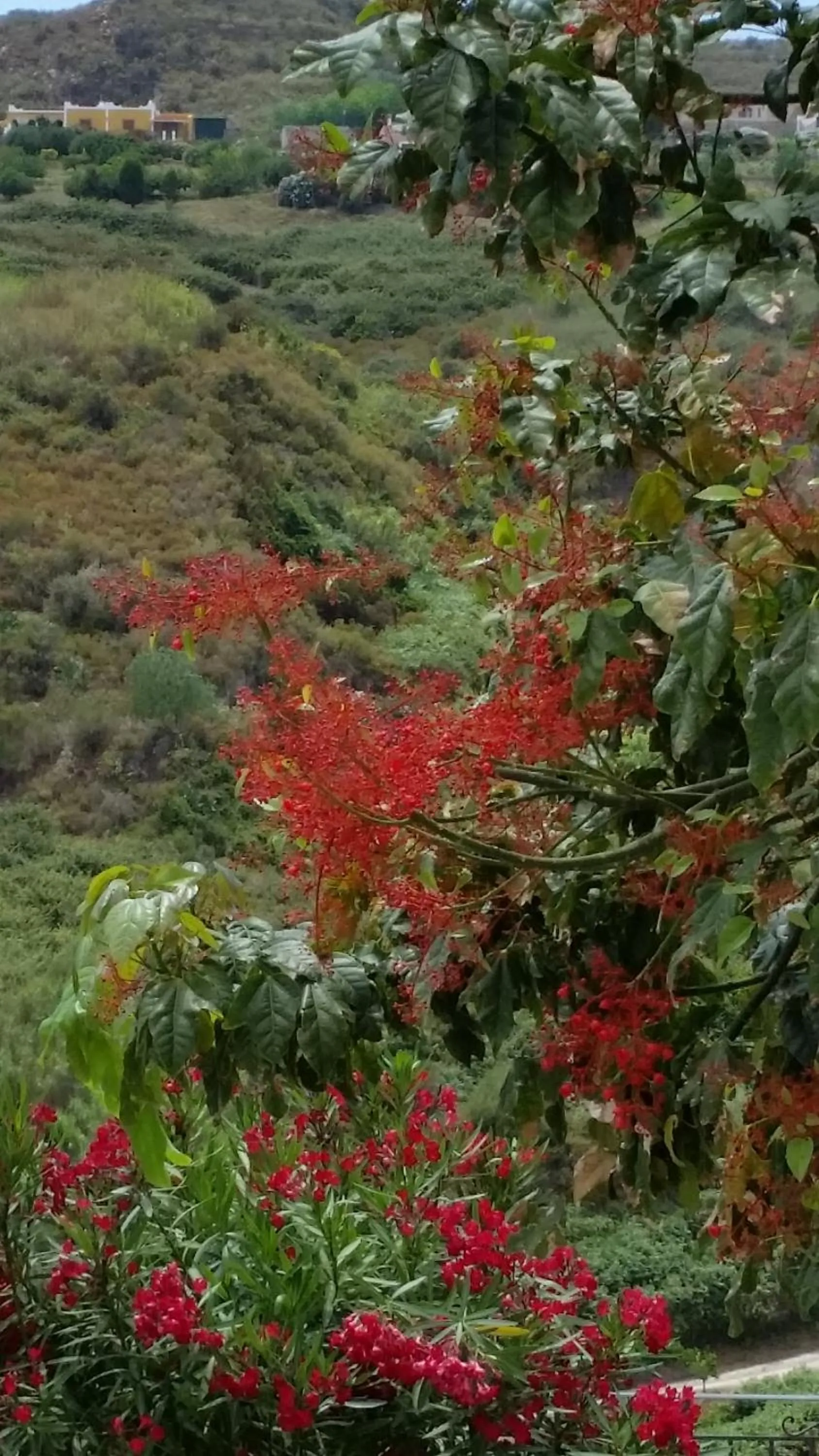 B&B Villa Maristella