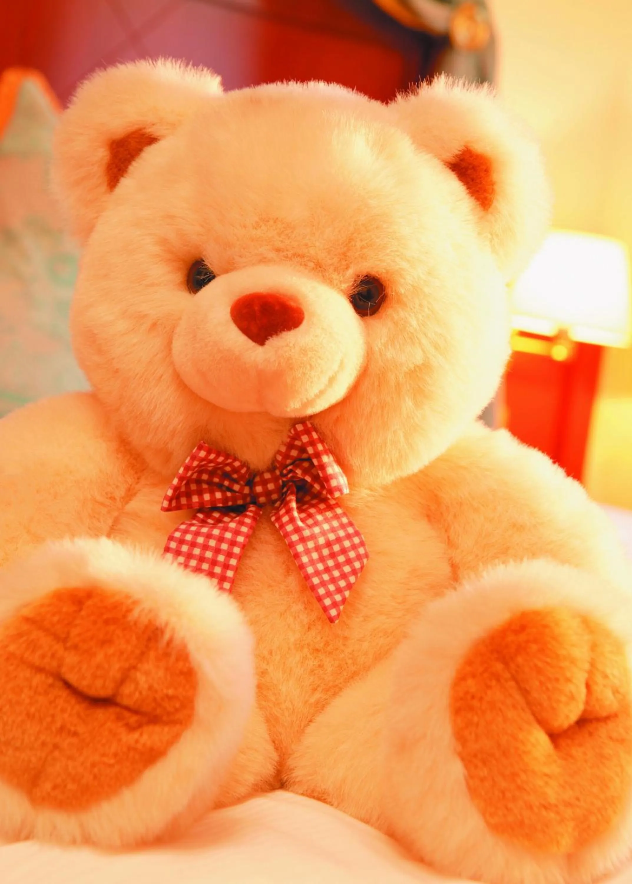 Other in Hotel Tschurtschenthaler