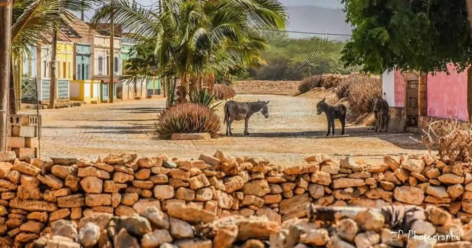 Natural landscape in Pensão Big Game Maio Vila do Maio