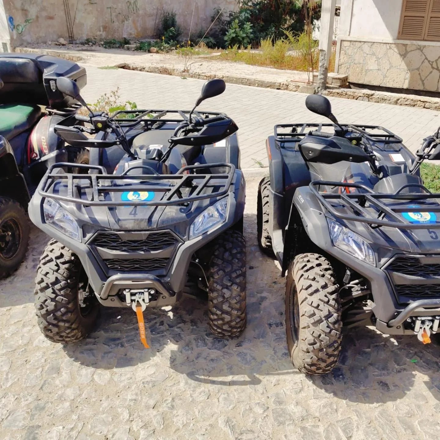 Day in Pensão Big Game Maio Vila do Maio