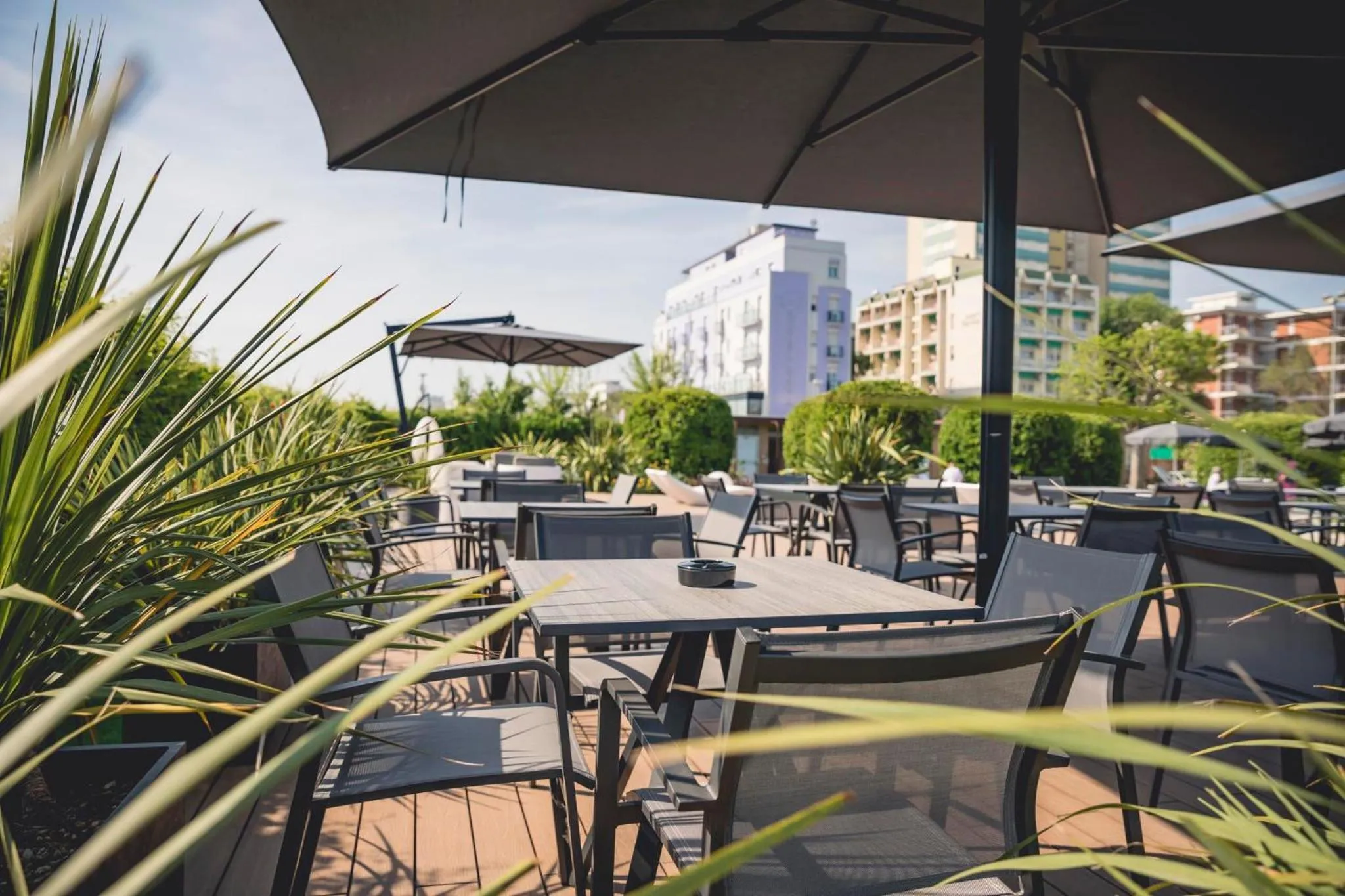 Restaurant/places to eat in Hotel Baya - in centro, sul mare