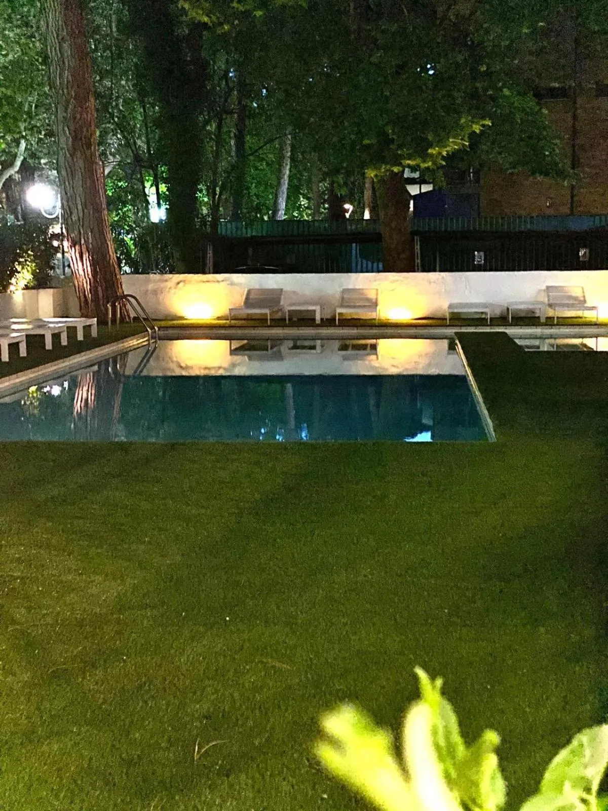 Garden in Hotel Prestigio