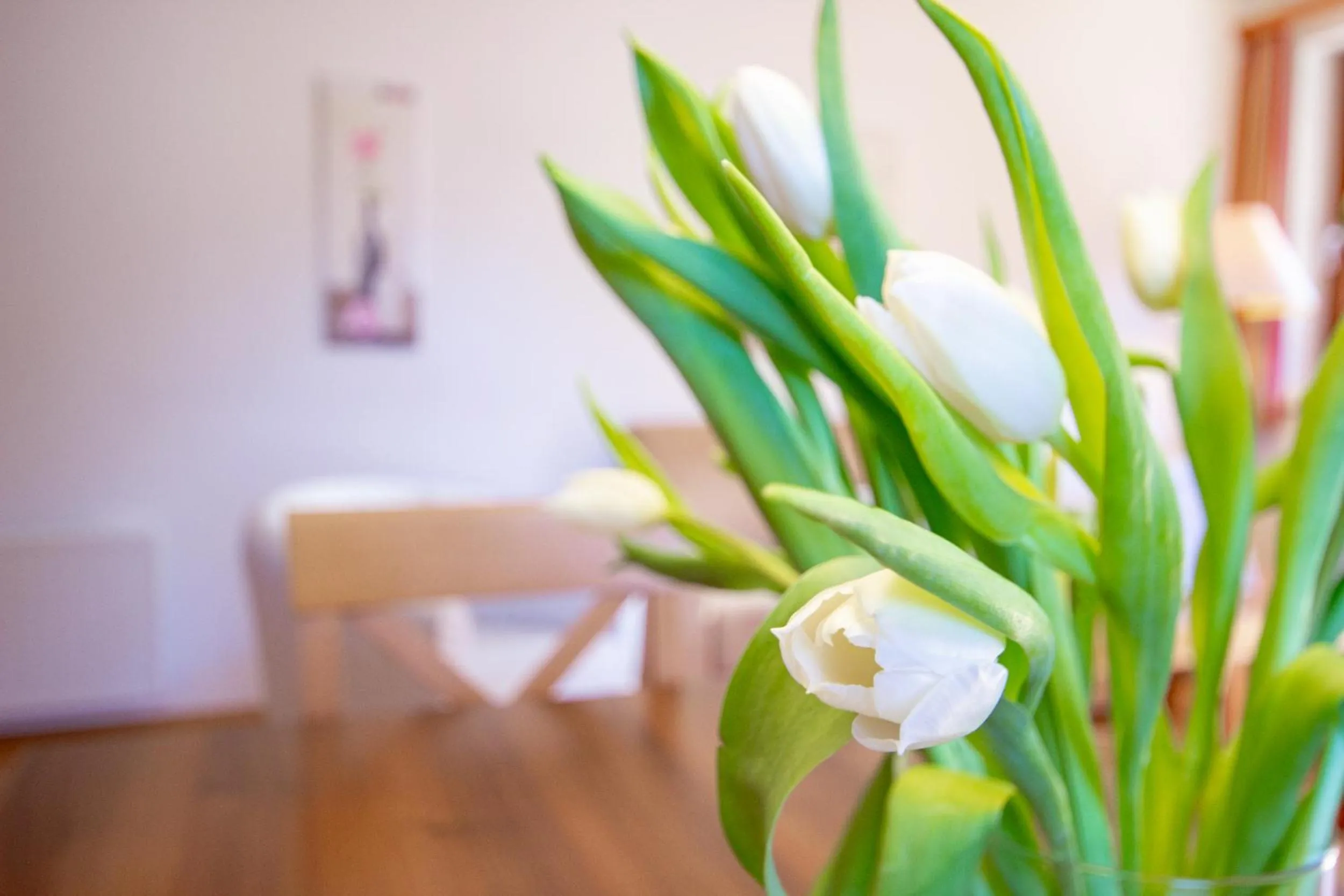 Decorative detail in Appartements Stranach