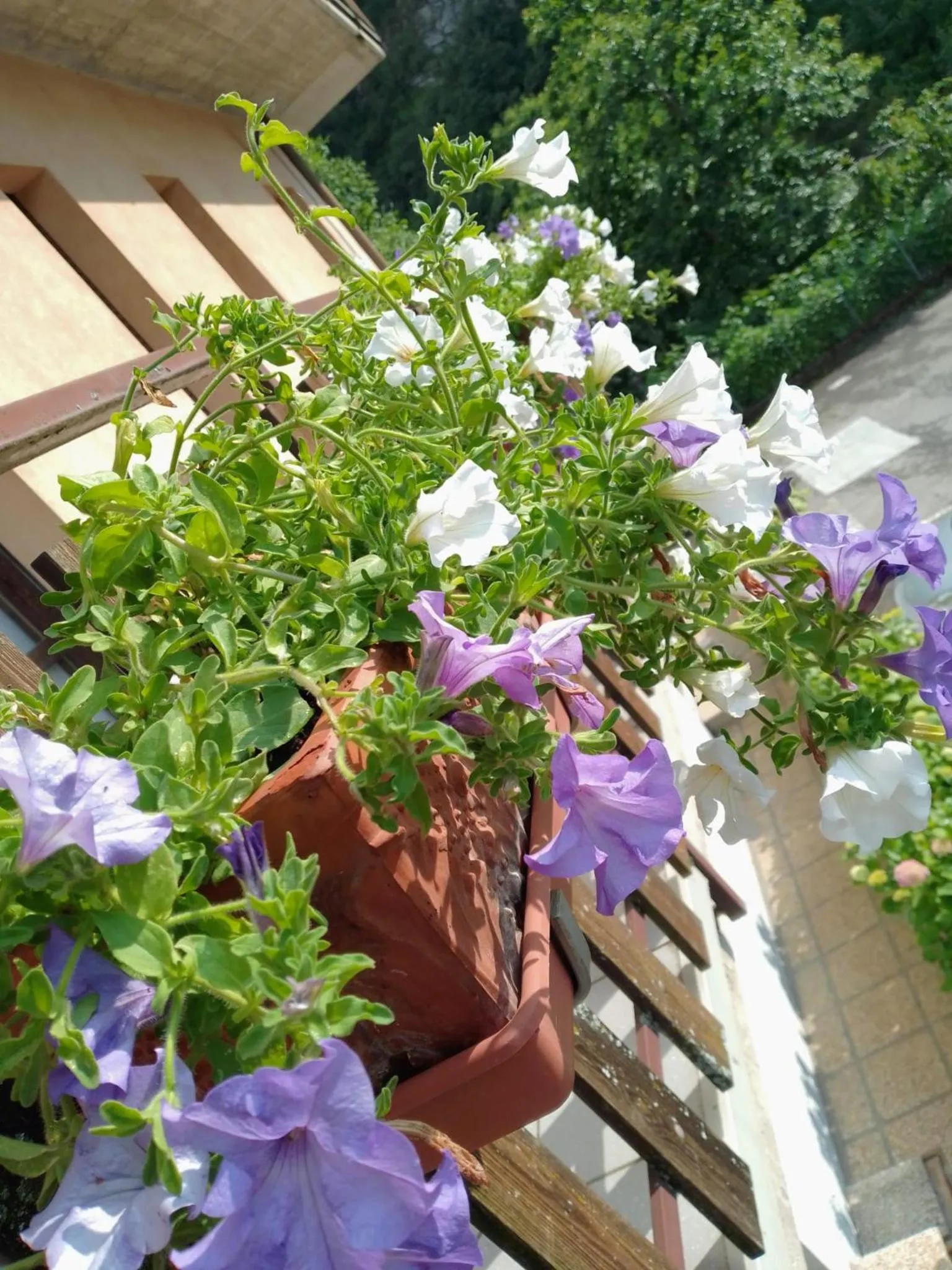 Spring in Residence Giardino