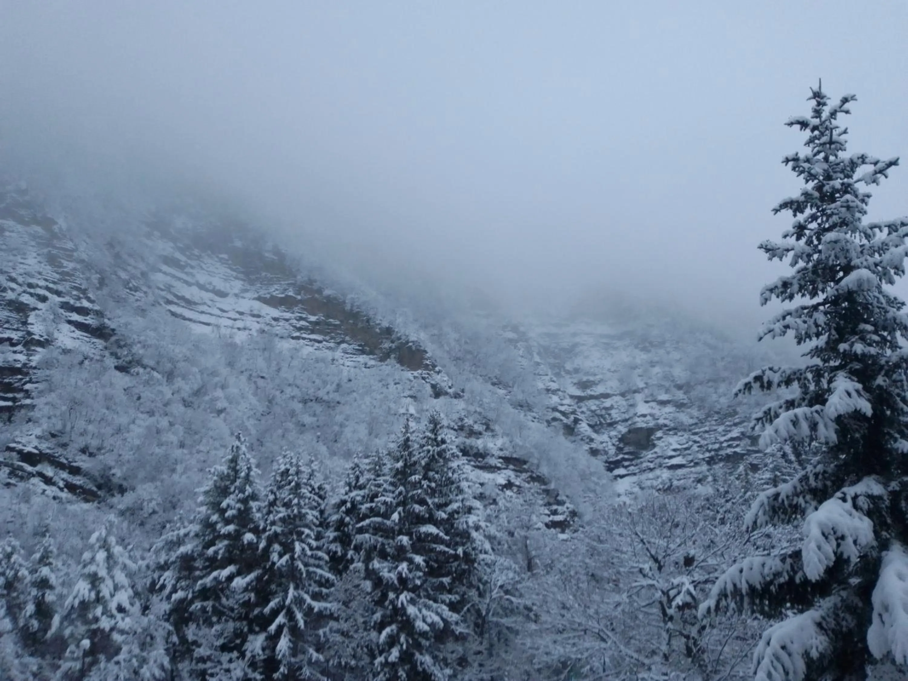 Natural landscape in Residence Giardino