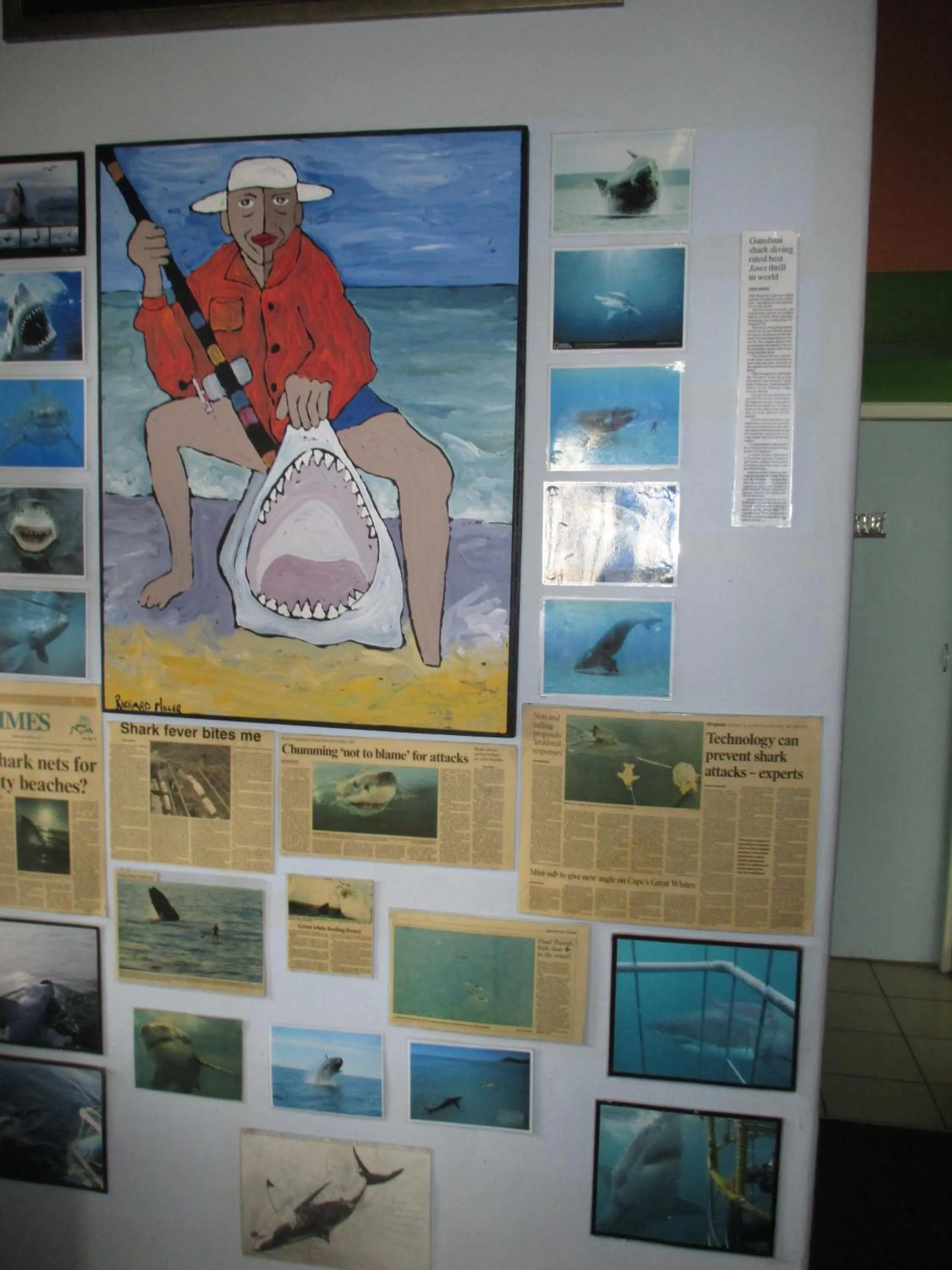 Lobby or reception in Hermanus Backpackers & Budget Accommodation