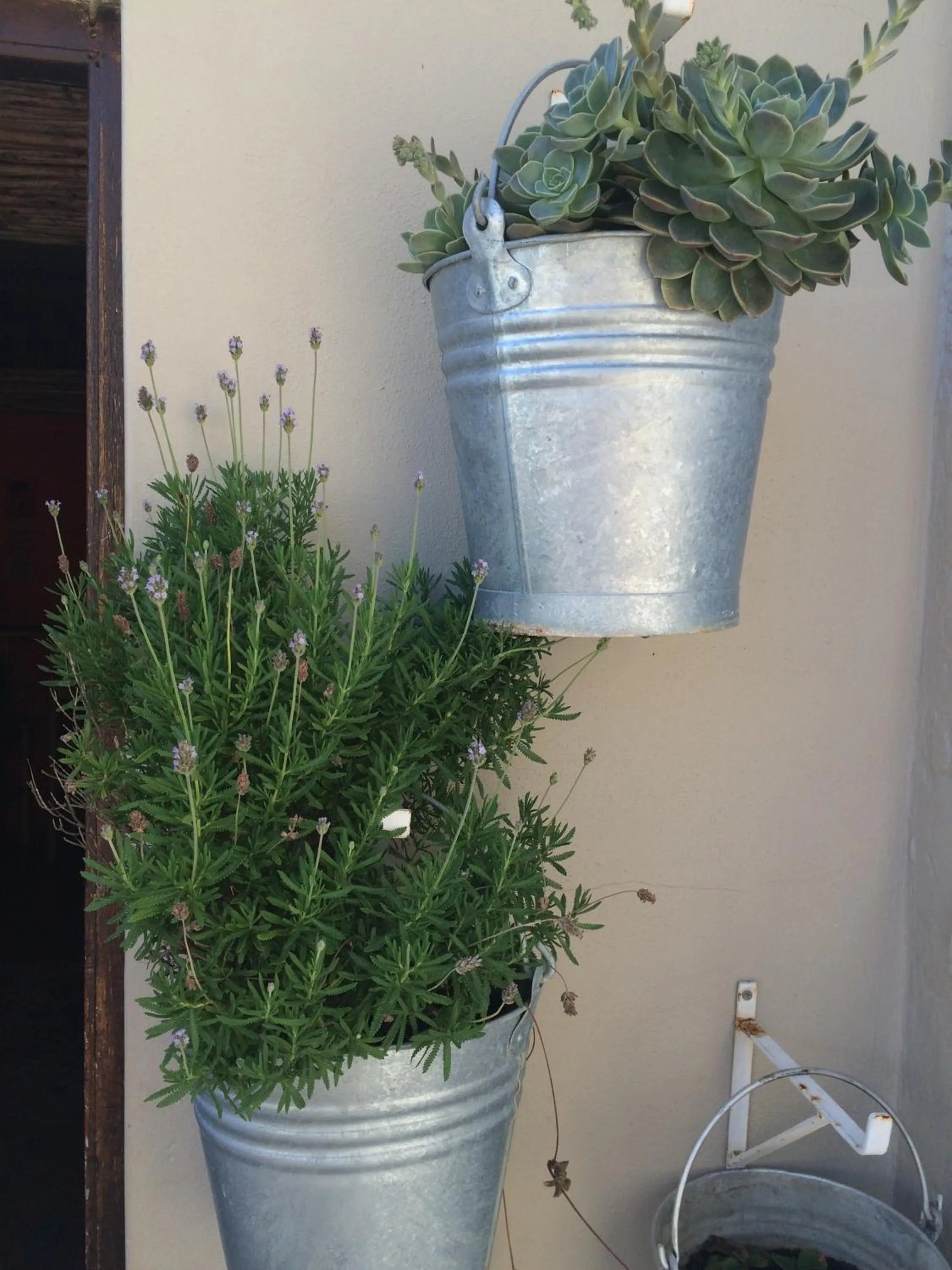 Decorative detail in Hermanus Backpackers & Budget Accommodation