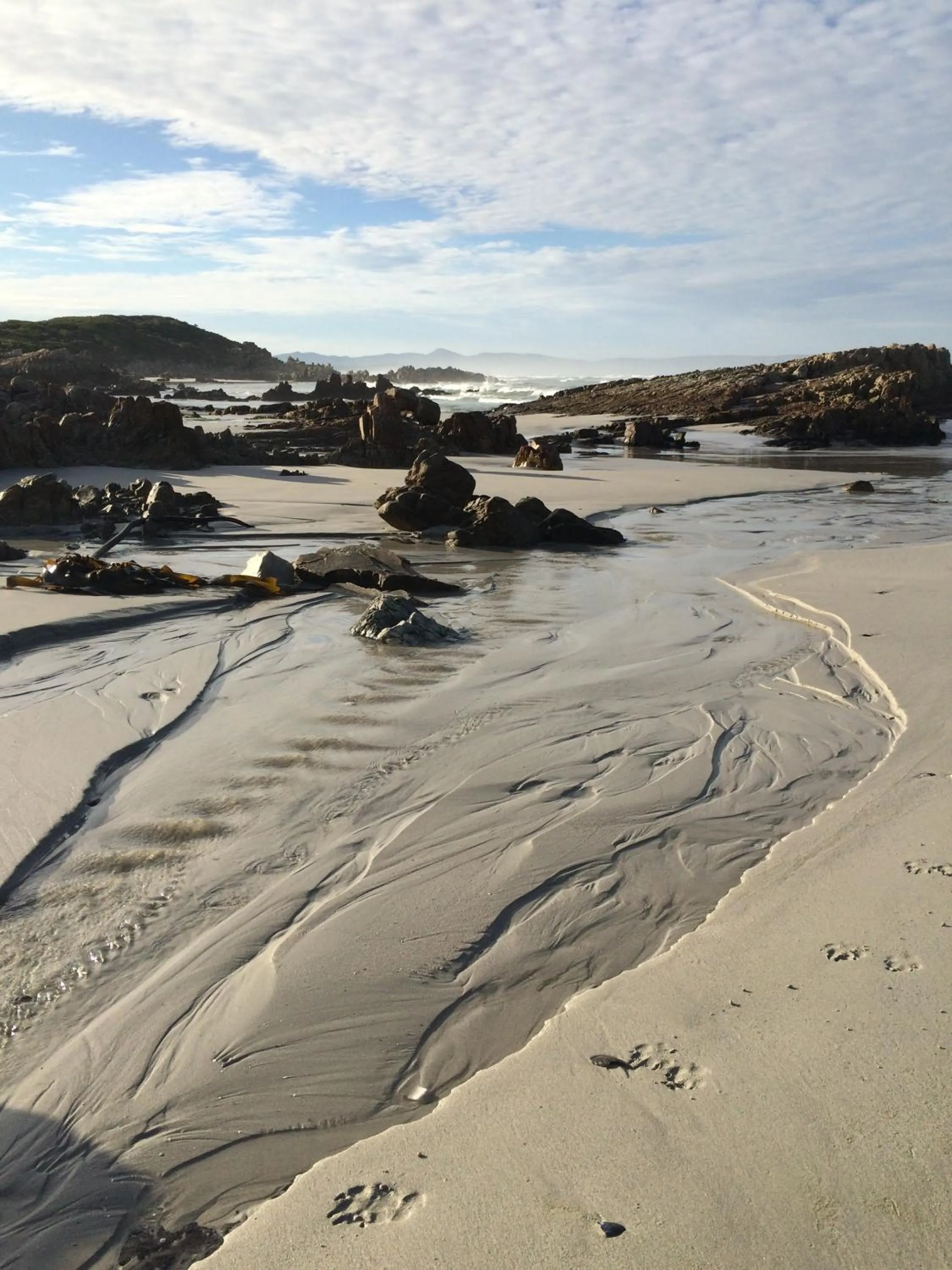 Nearby landmark in Hermanus Backpackers & Budget Accommodation