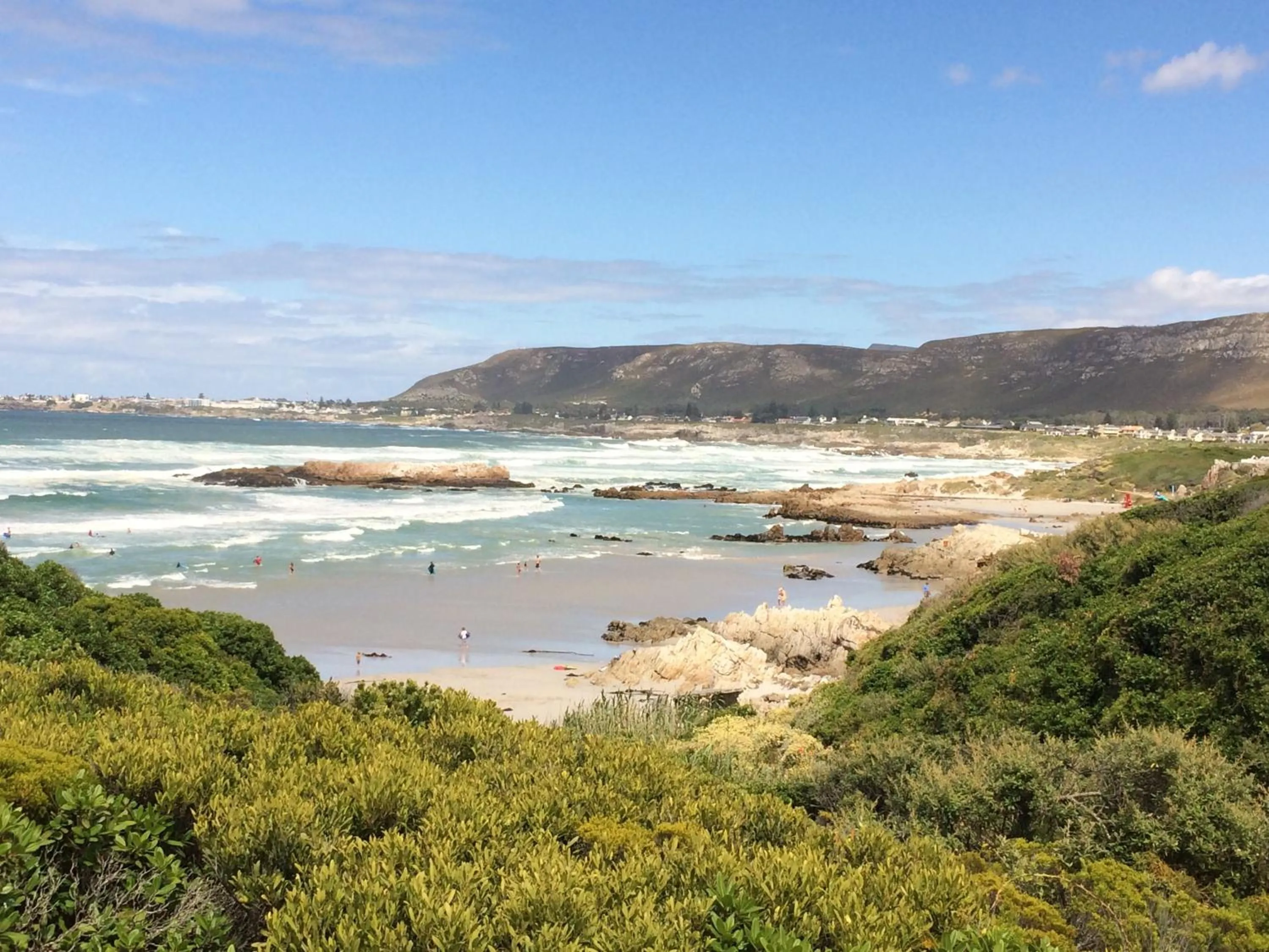 Nearby landmark in Hermanus Backpackers & Budget Accommodation