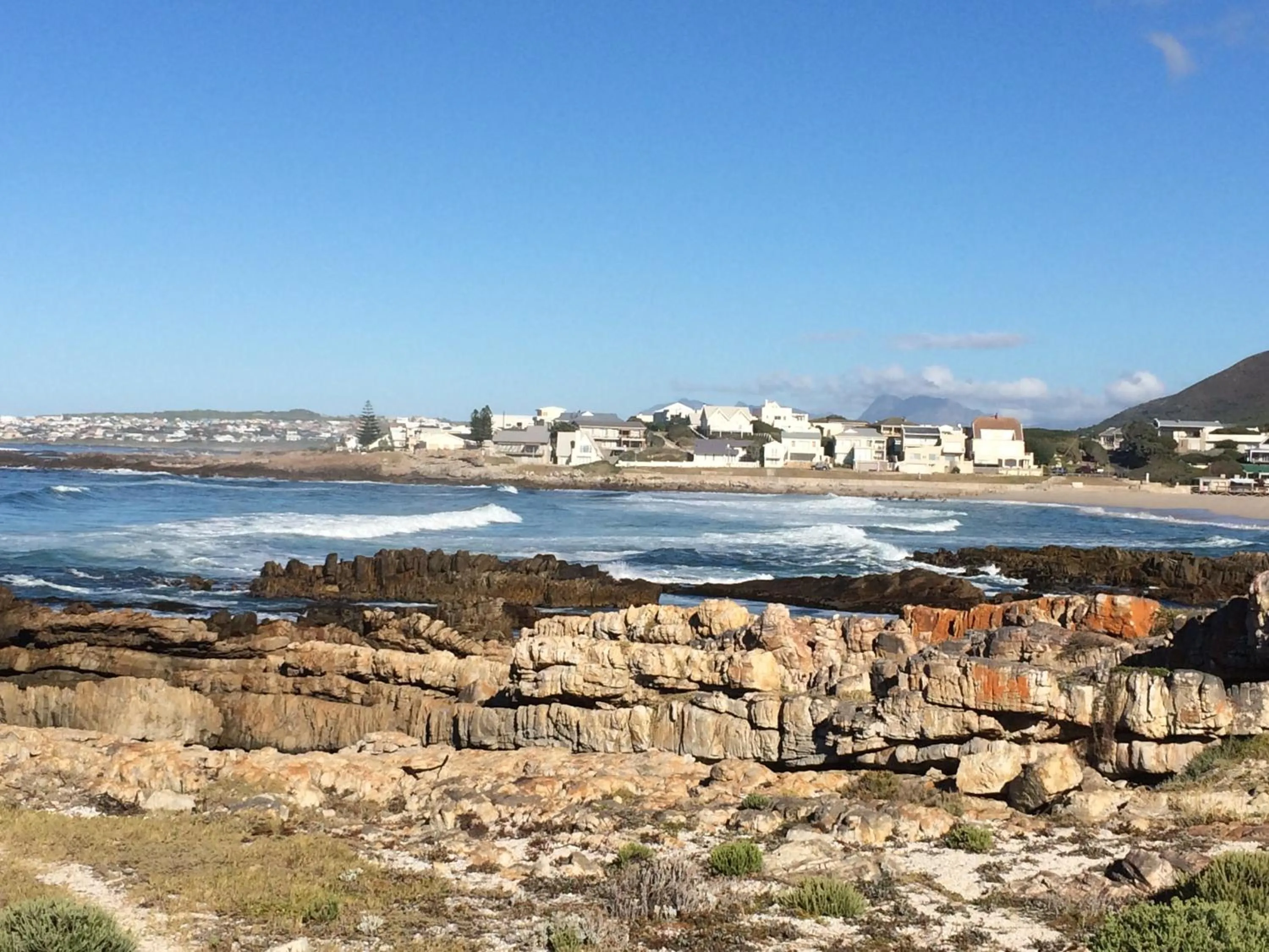 Nearby landmark in Hermanus Backpackers & Budget Accommodation