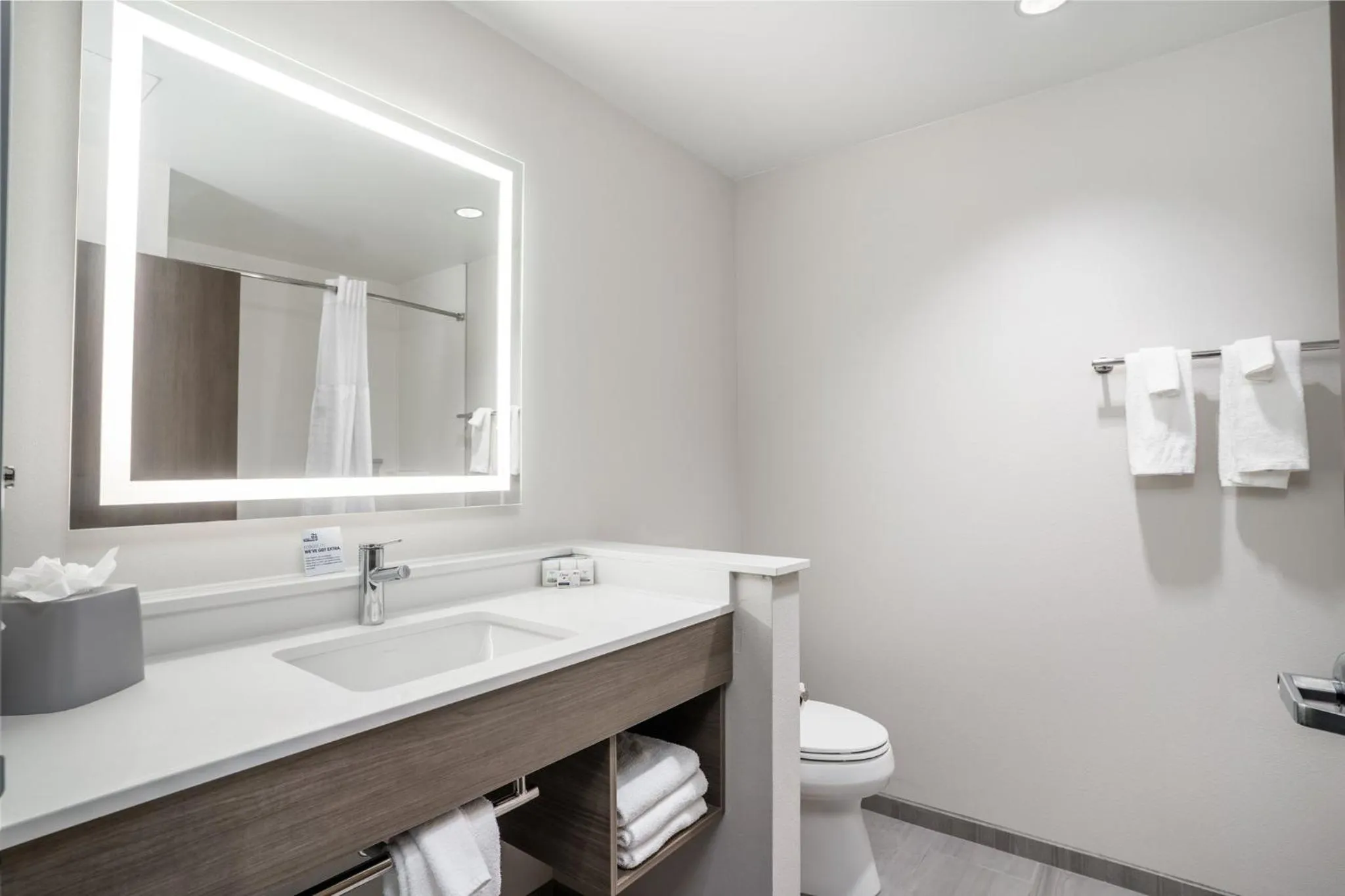 Bathroom in Holiday Inn Express & Suites Cedar Rapids NE - Marion by IHG